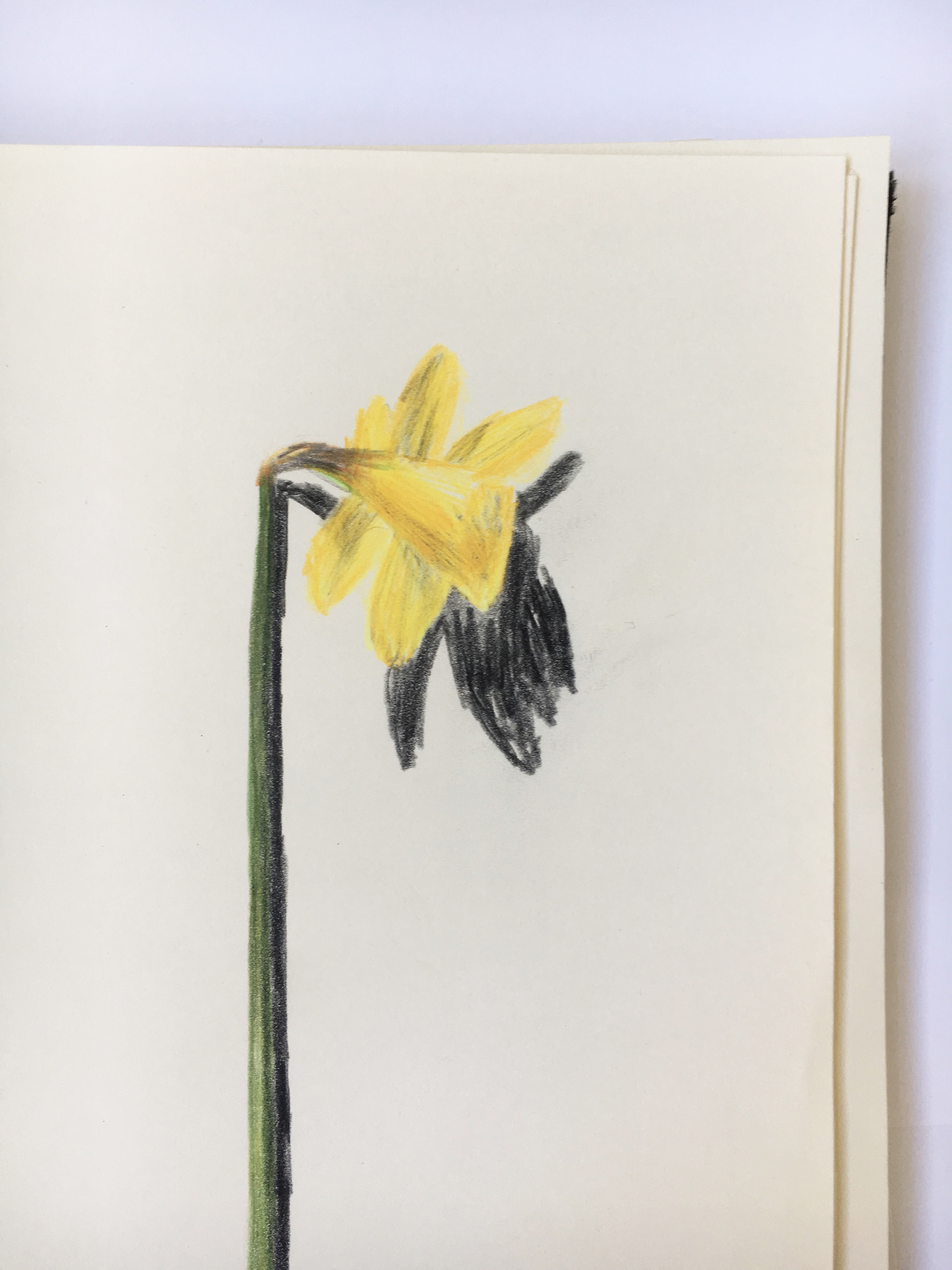 2020, color pencils
