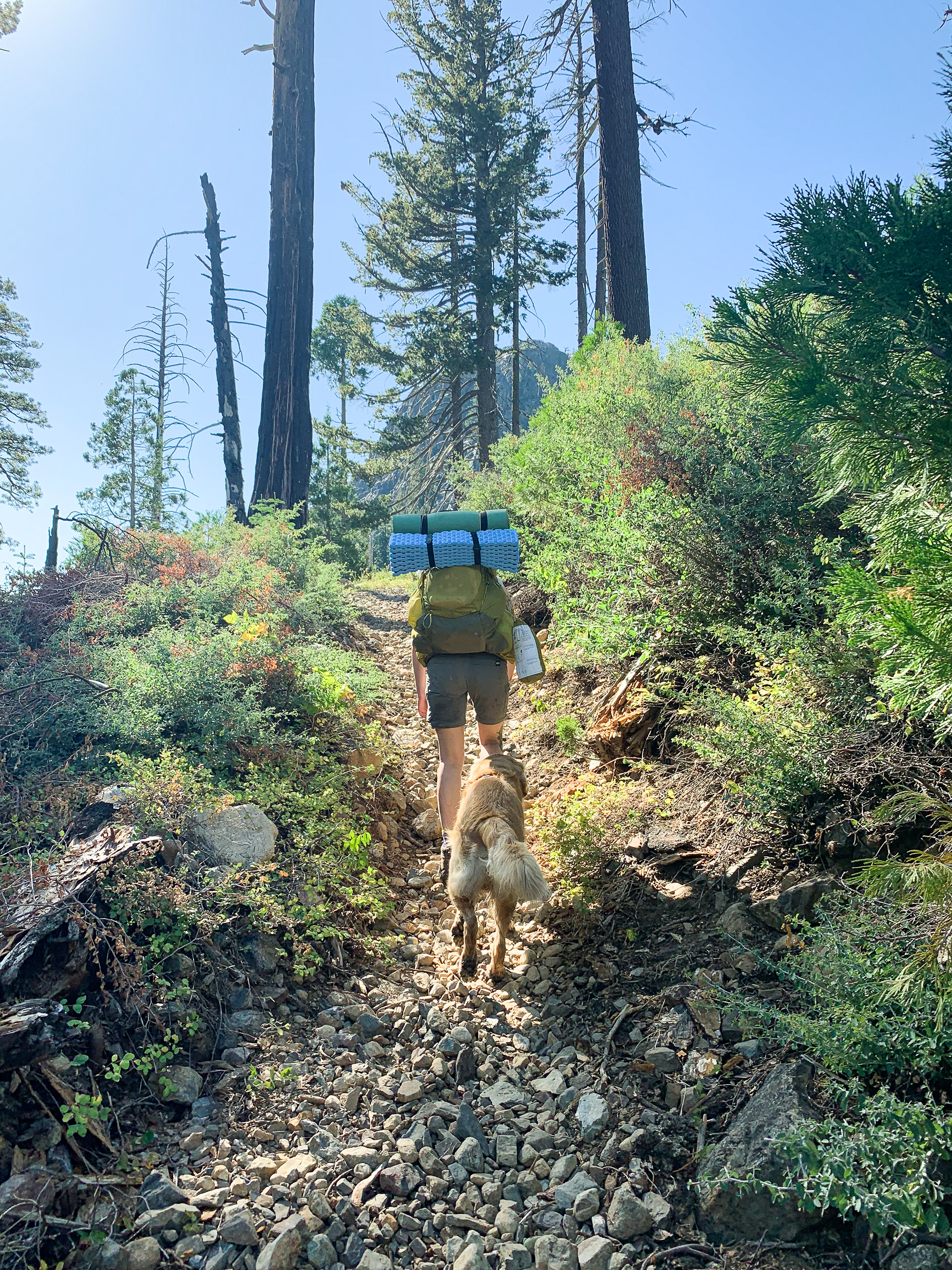 On the Western States Trail