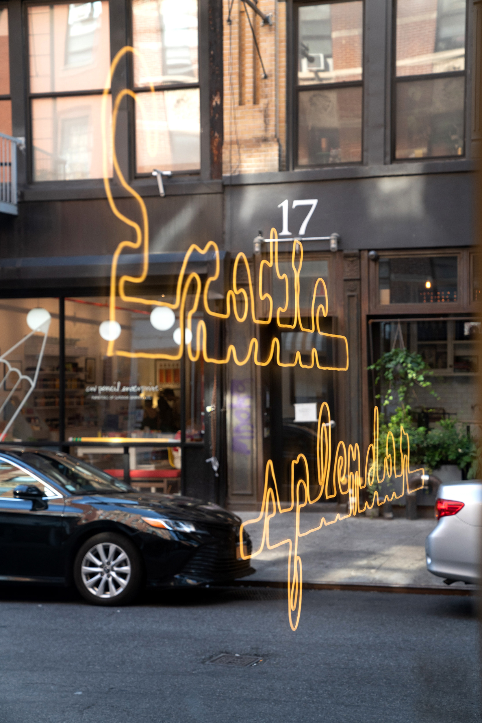 A window reflection of a neon sign that says Exotic splendor