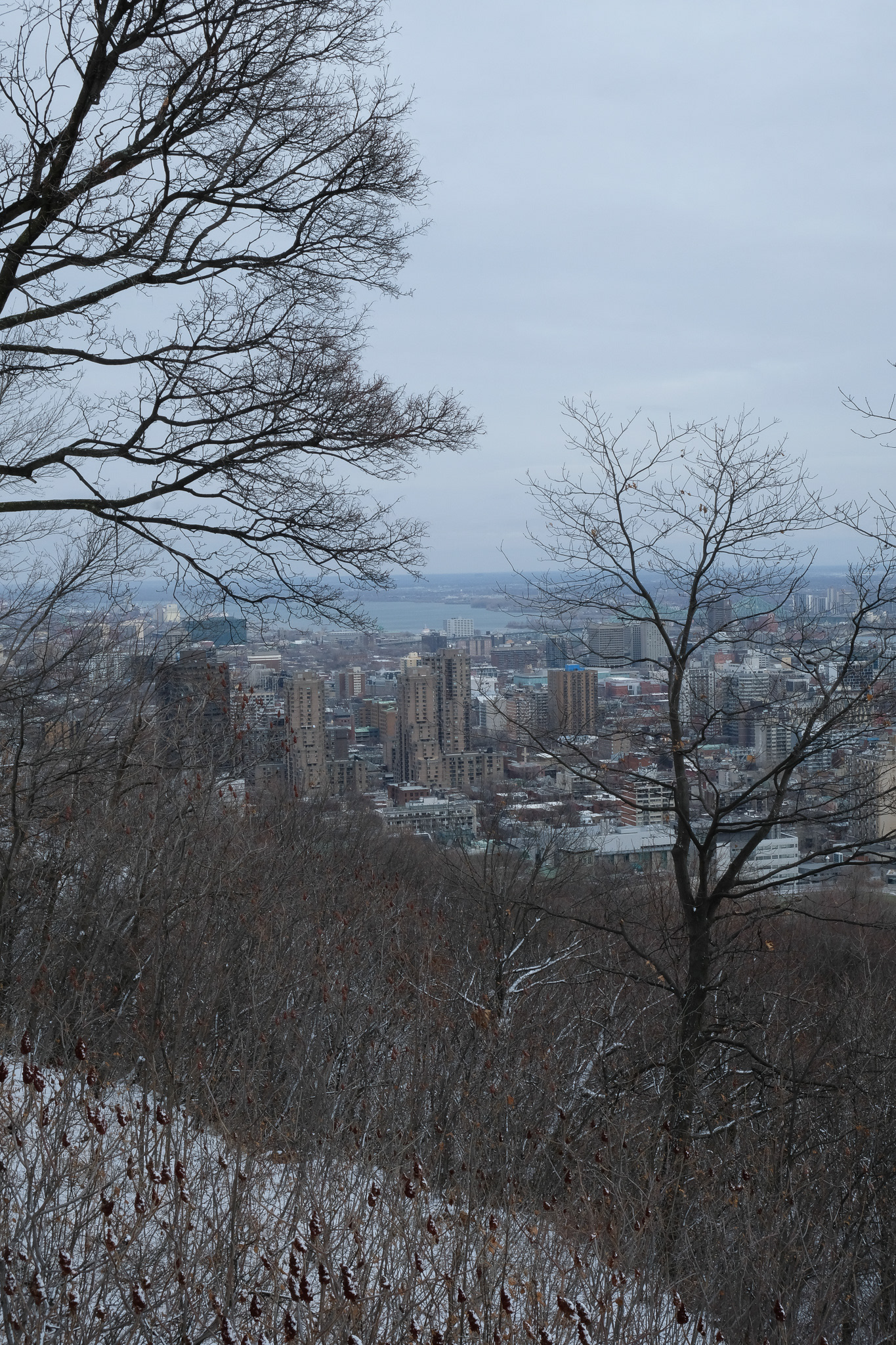 Parc du Mont-Royal