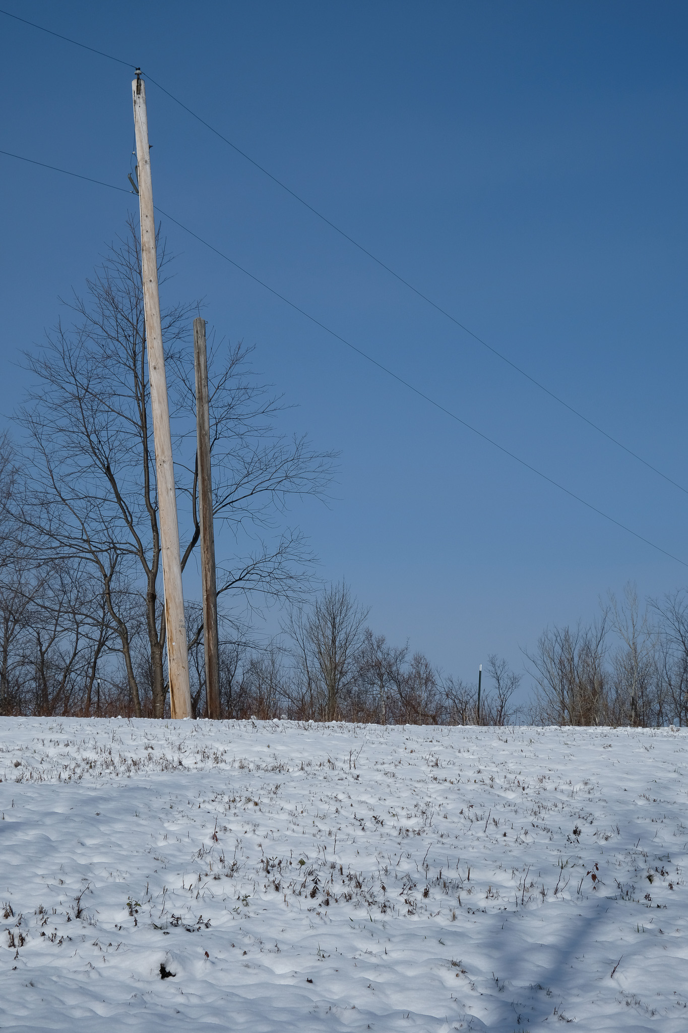 Power line