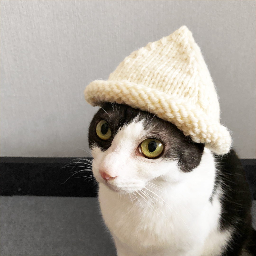 Toride De Knit とりでdeニット Lesson Report Toride De Knit とりでdeニット Lesson Report