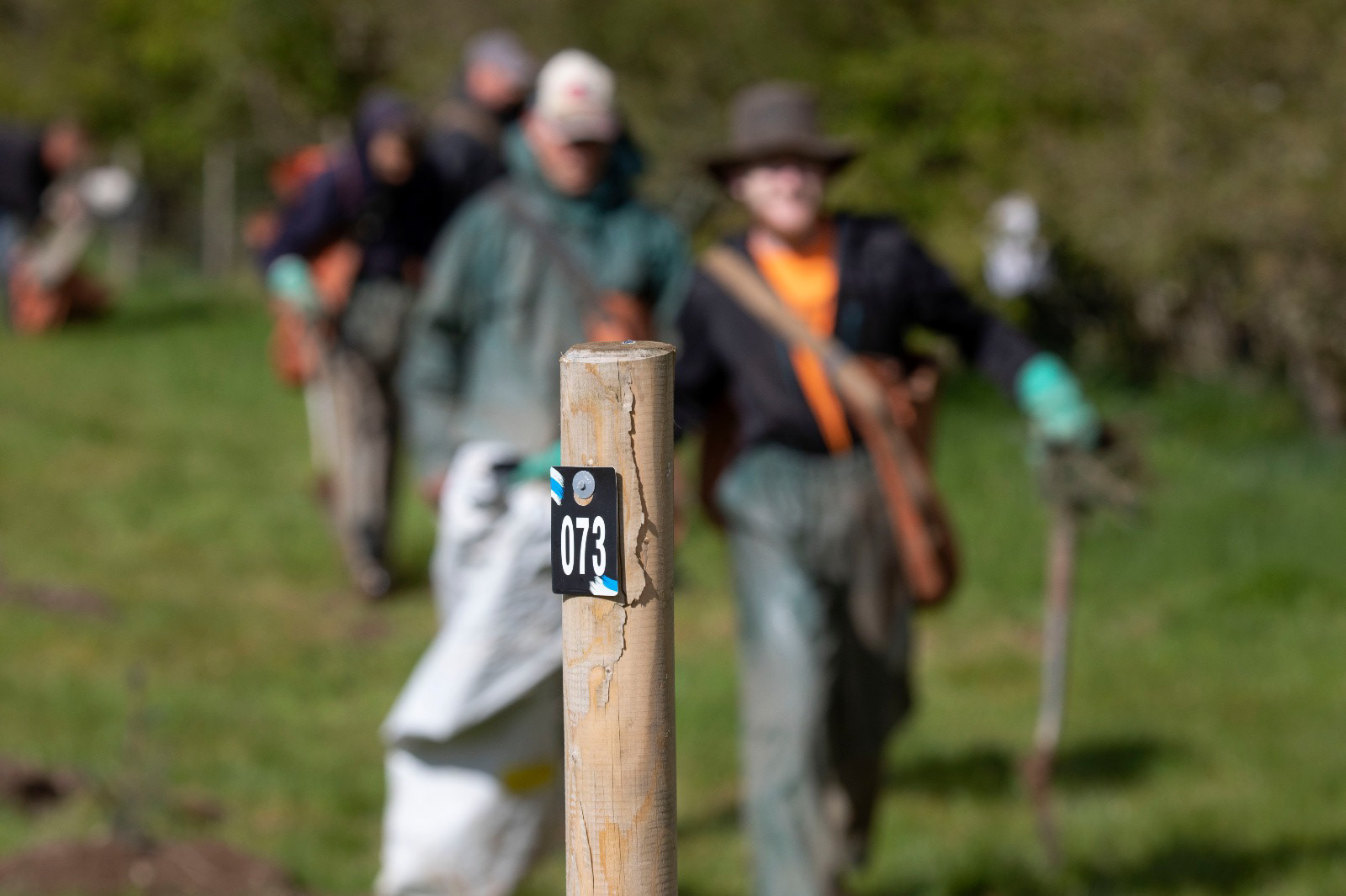 Teamwork: Planting more than 25,000 trees in 72 trial plots, each testing different nature-based solutions to maximize carbon sequestration, required incredible teamwork and a diverse group of people coming together. This includes government civil servants, planners, foresters, environmental scientists, local volunteers, tree nurseries, neighbours, students and even the local quarry. All of these people have given time and in turn have been touched by the magic of science and nature in ways they will never forget.