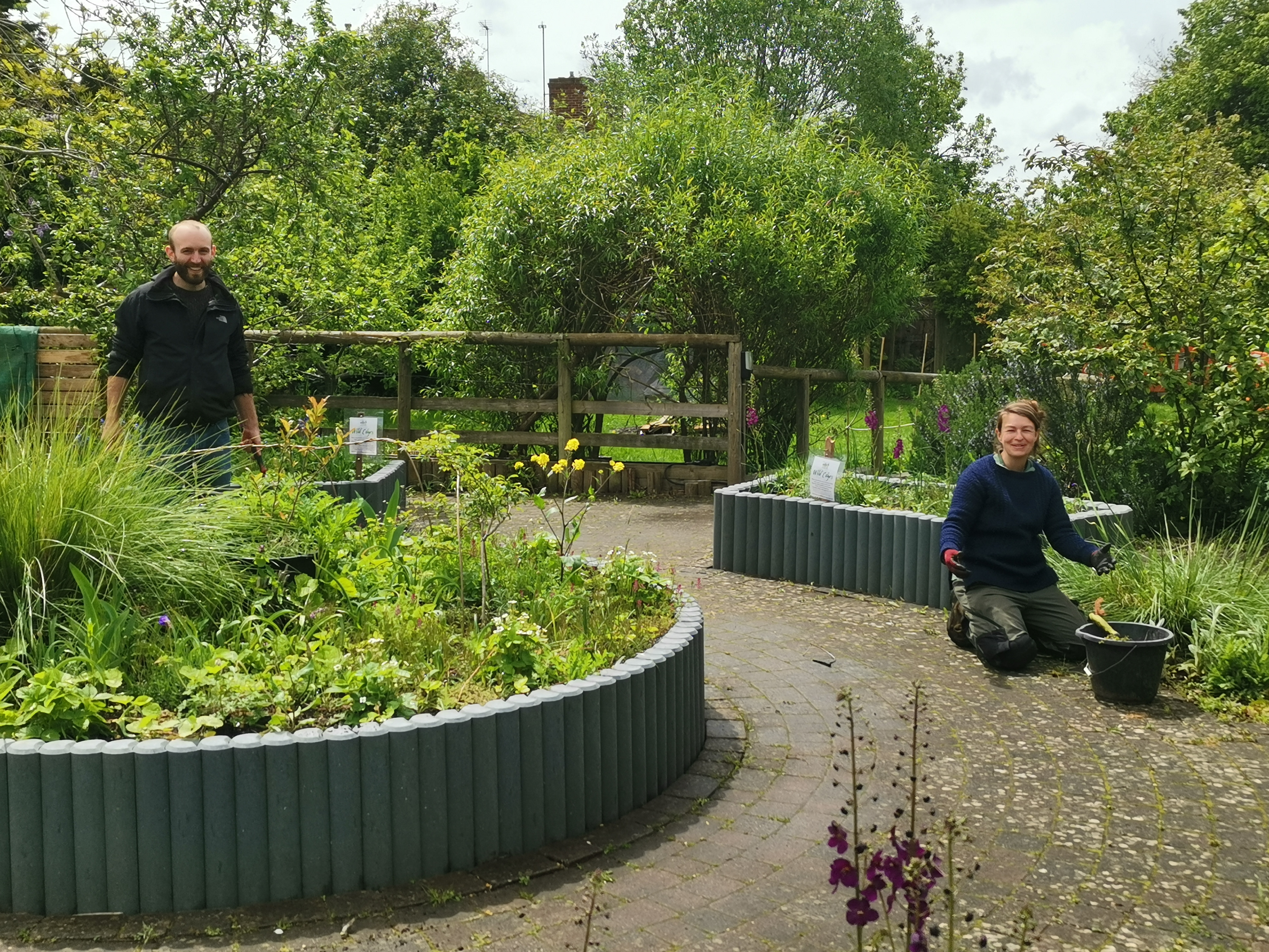 Tidying the Wild Edges! The new planting scheme has been designed with wildlife in mind, especially pollinators, which are suffering from habitat loss. Plants with double flowers have been avoided as they produce less nectar; instead, a variety of native and near-native (i.e. northern hemisphere) species which bloom over a long season have been planted so that pollinators have food at all times of year. With other wildlife in mind, plants whose stems and leaves persist through winter, providing shelter for invertebrates, and some whose seed heads are eaten by birds were also included in the planting scheme.