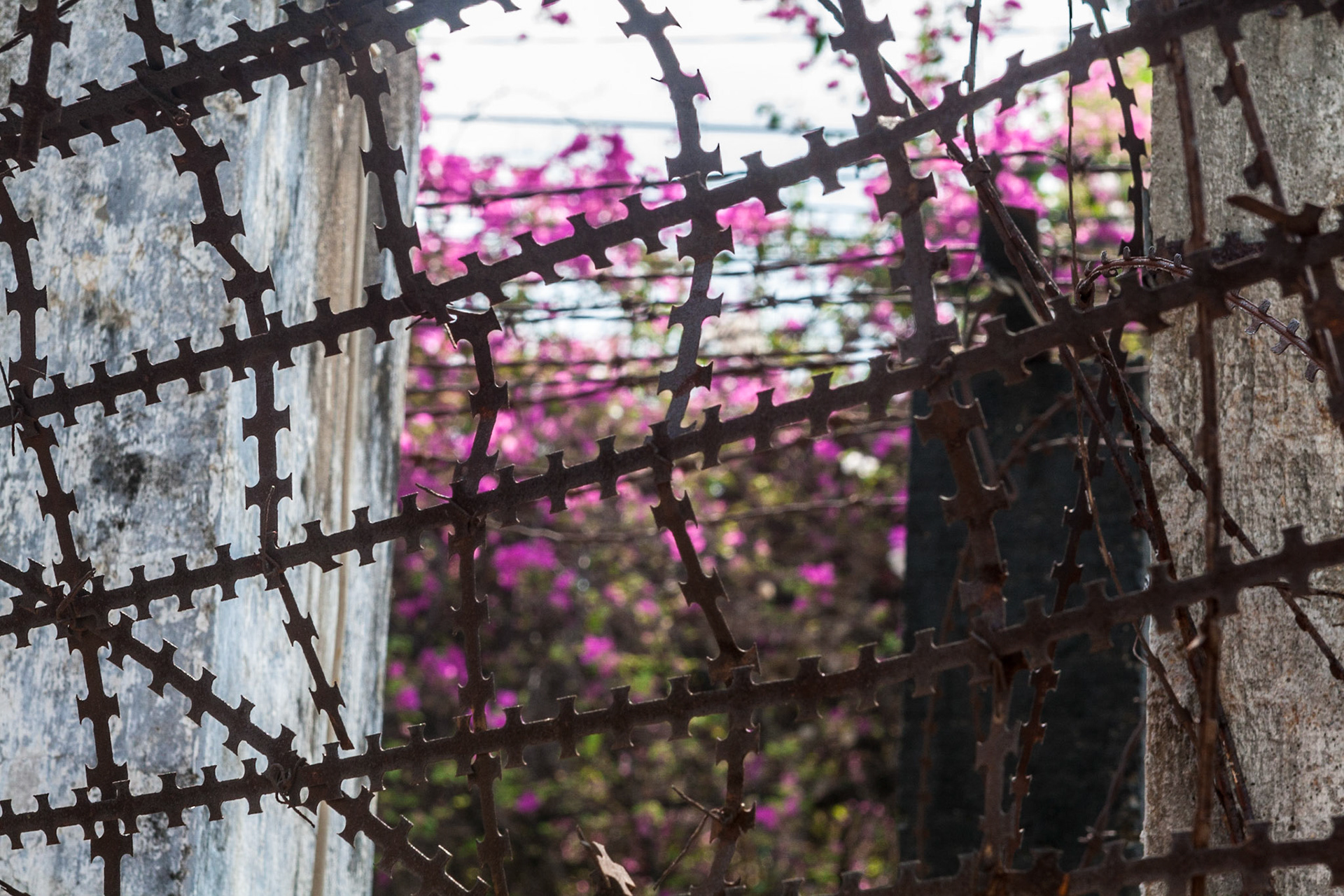 Barbed wire at the Tuol Sleng Genocide Museum in Phnom Penh, a former school converted into the Security Prison (S-21) by the Khmer Rouge in Cambodia in 1975