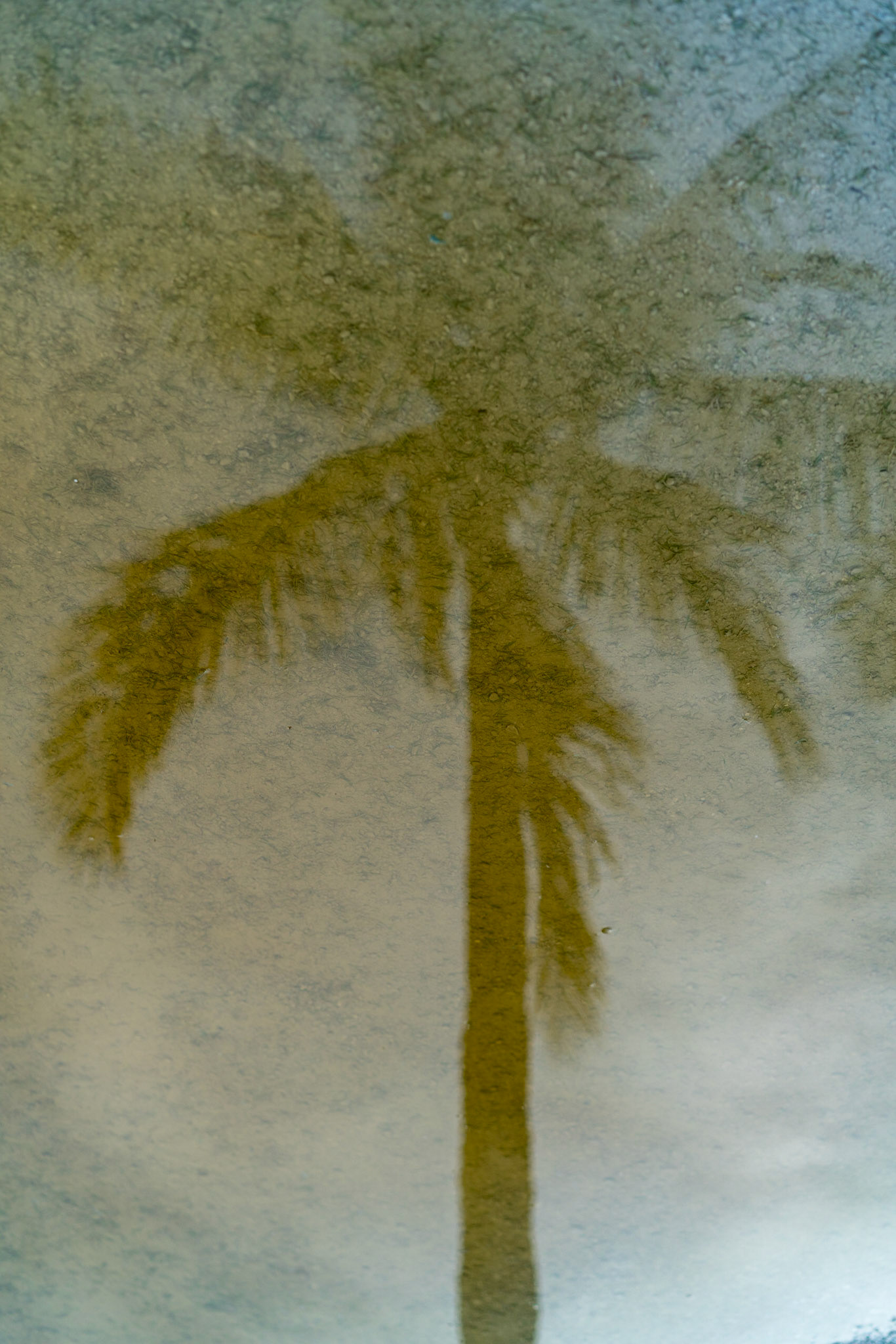 After the Storm