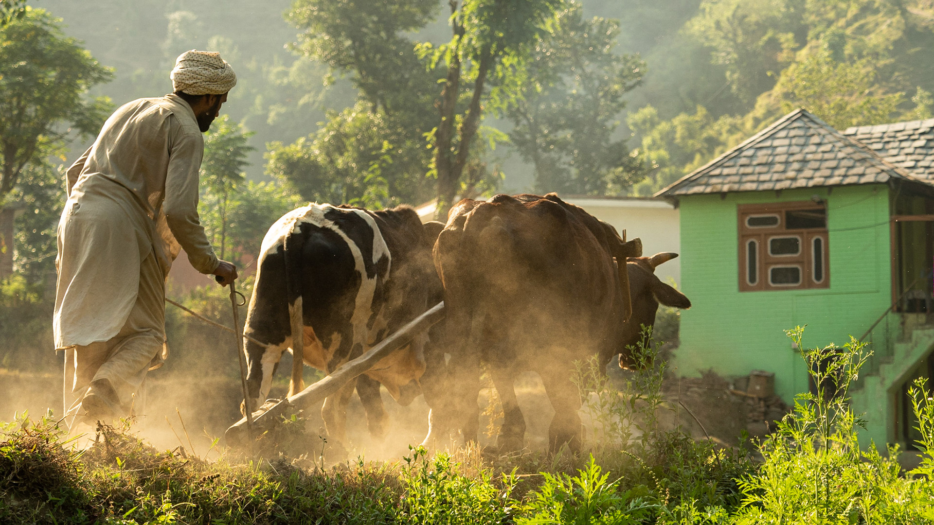 An overlooked reality!