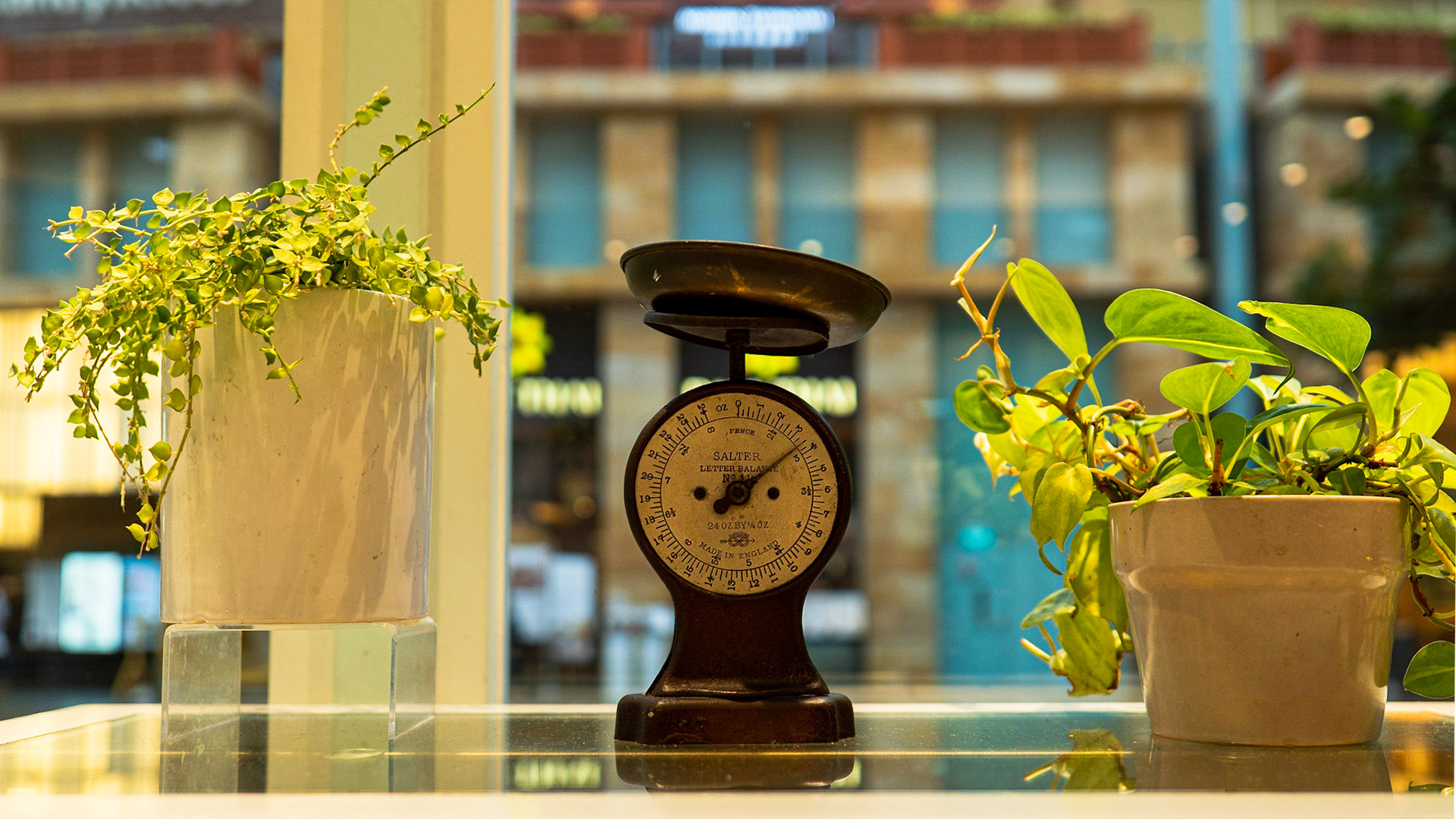 I just l-o-v-e old things! No surprise then, that this old-world kitchen scale caught my eye.