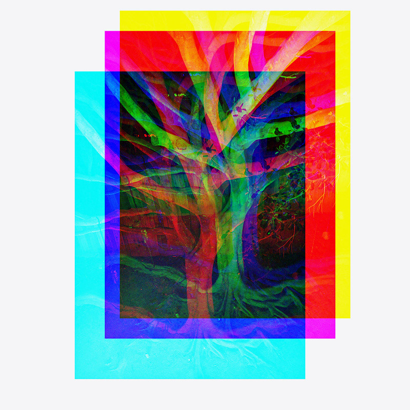 Branching Out pieces