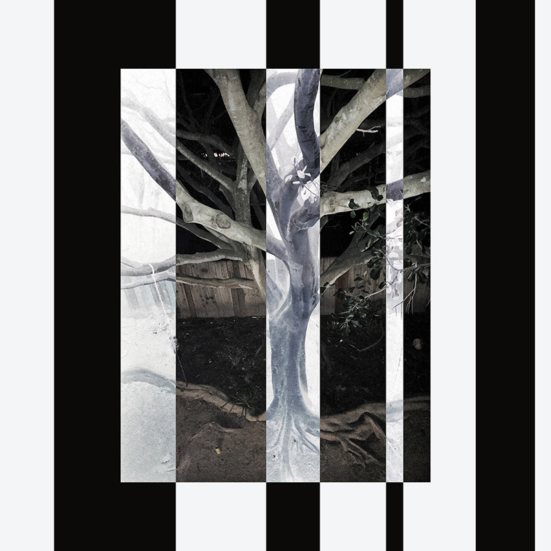 Branching Out pieces