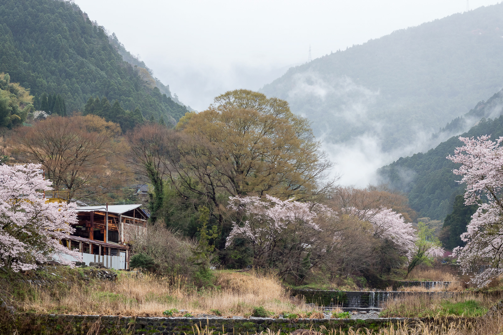 Kamiyama