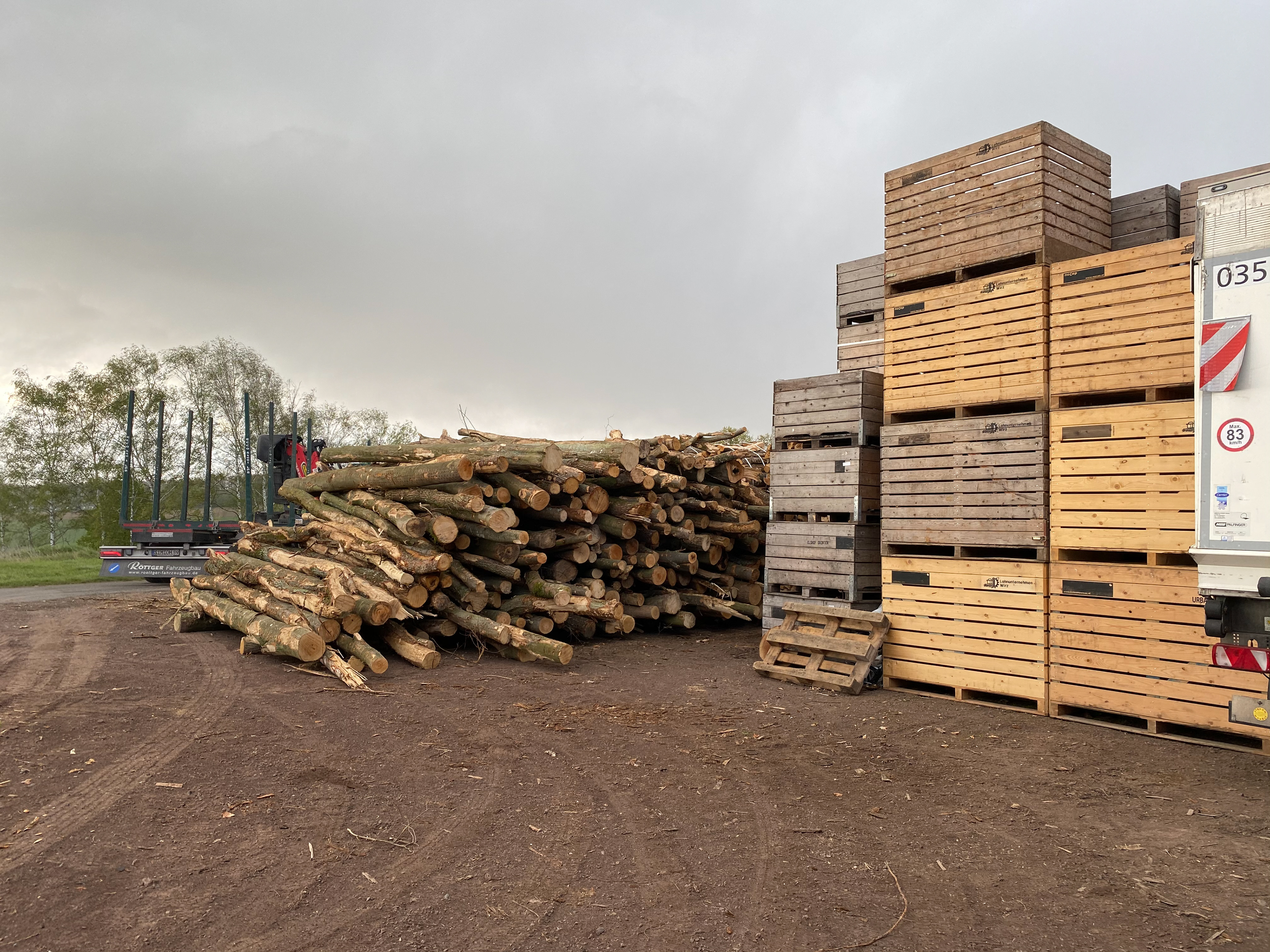 Neues Holz