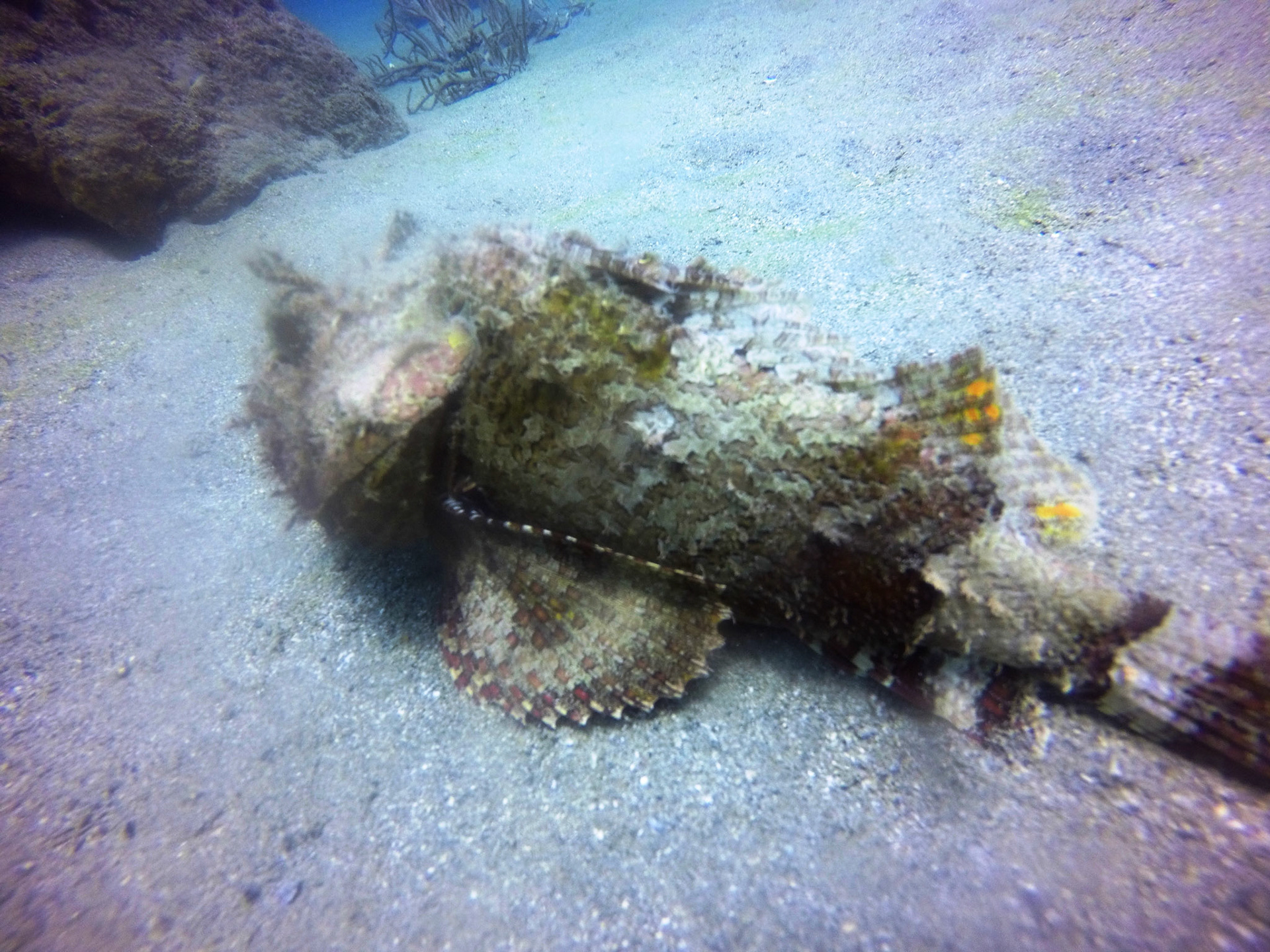 DCIM\100GOPRO\GOPR8728.