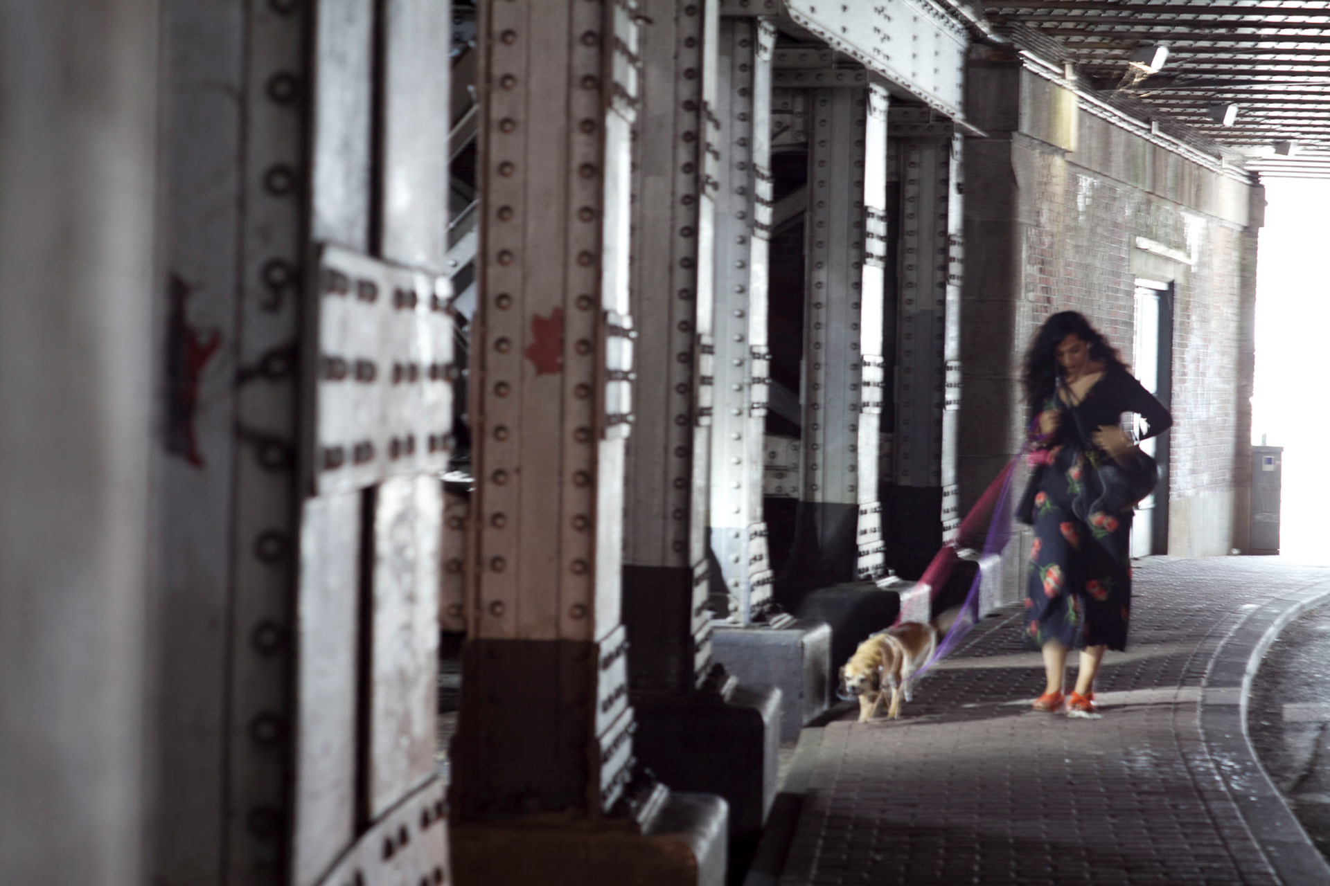 Amsterdam based photograper