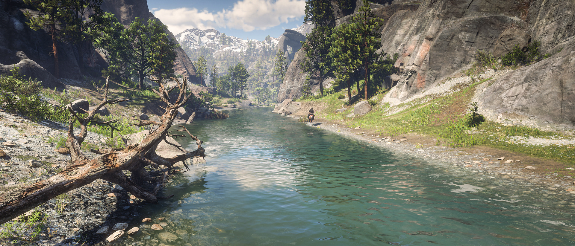 Frans Bouma - Red Dead Redemption 2
