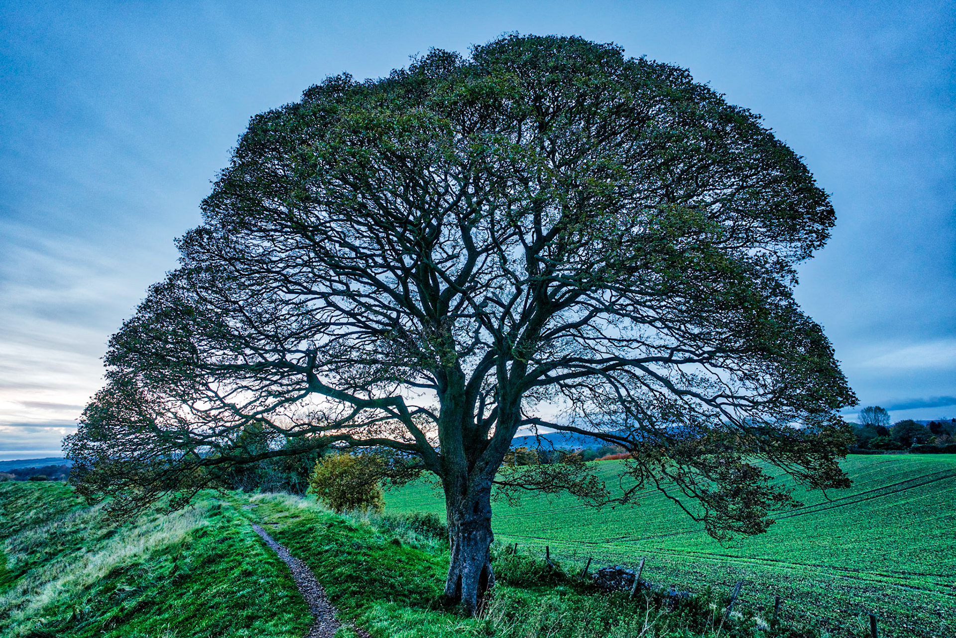 Out and about again with the dog