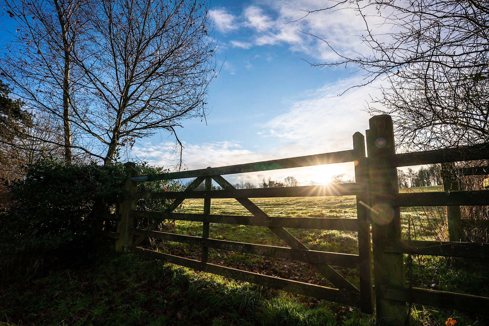 A beautiful sunny walk on Christmas Eve