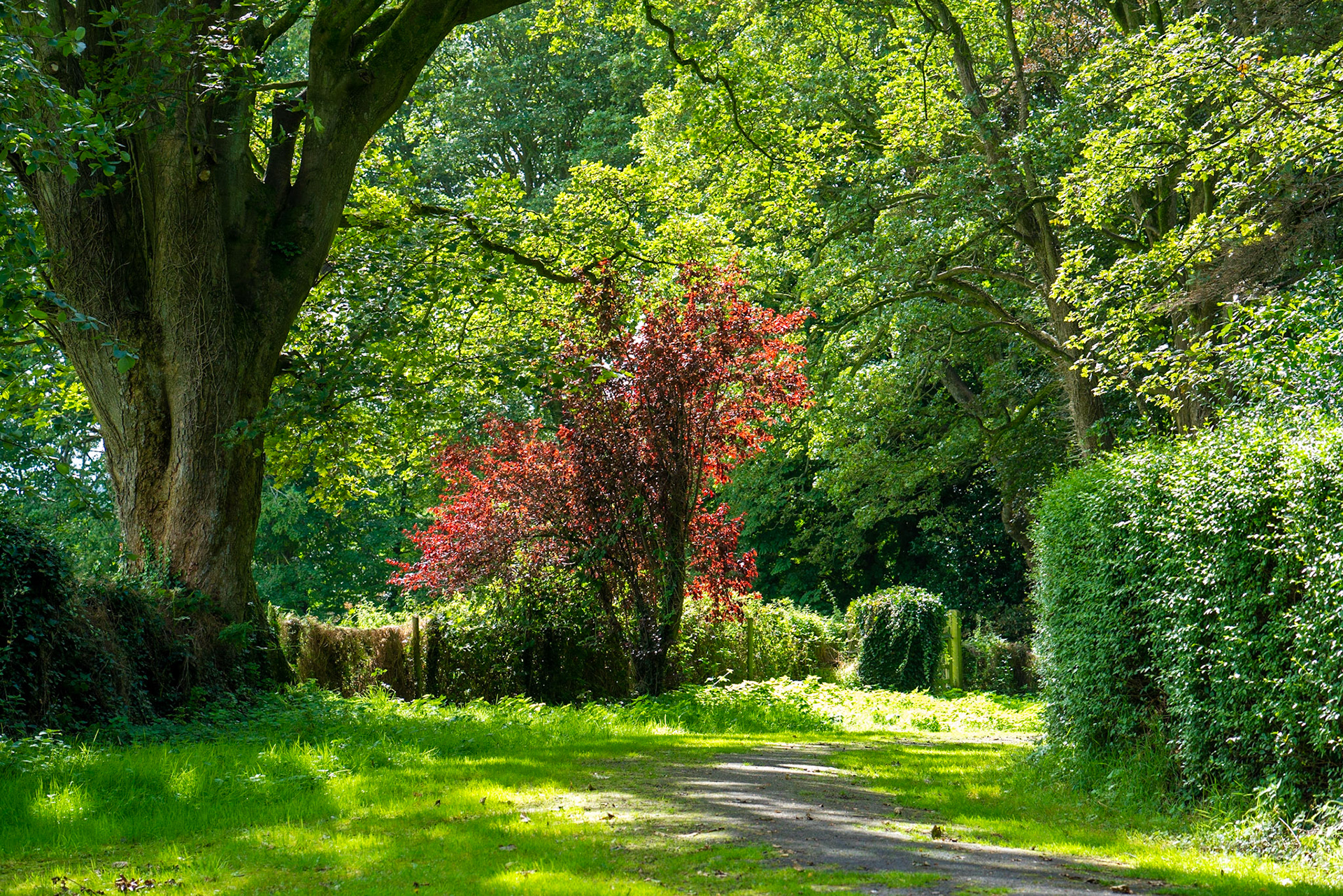 1st day of Autumn ad the sun is out :)