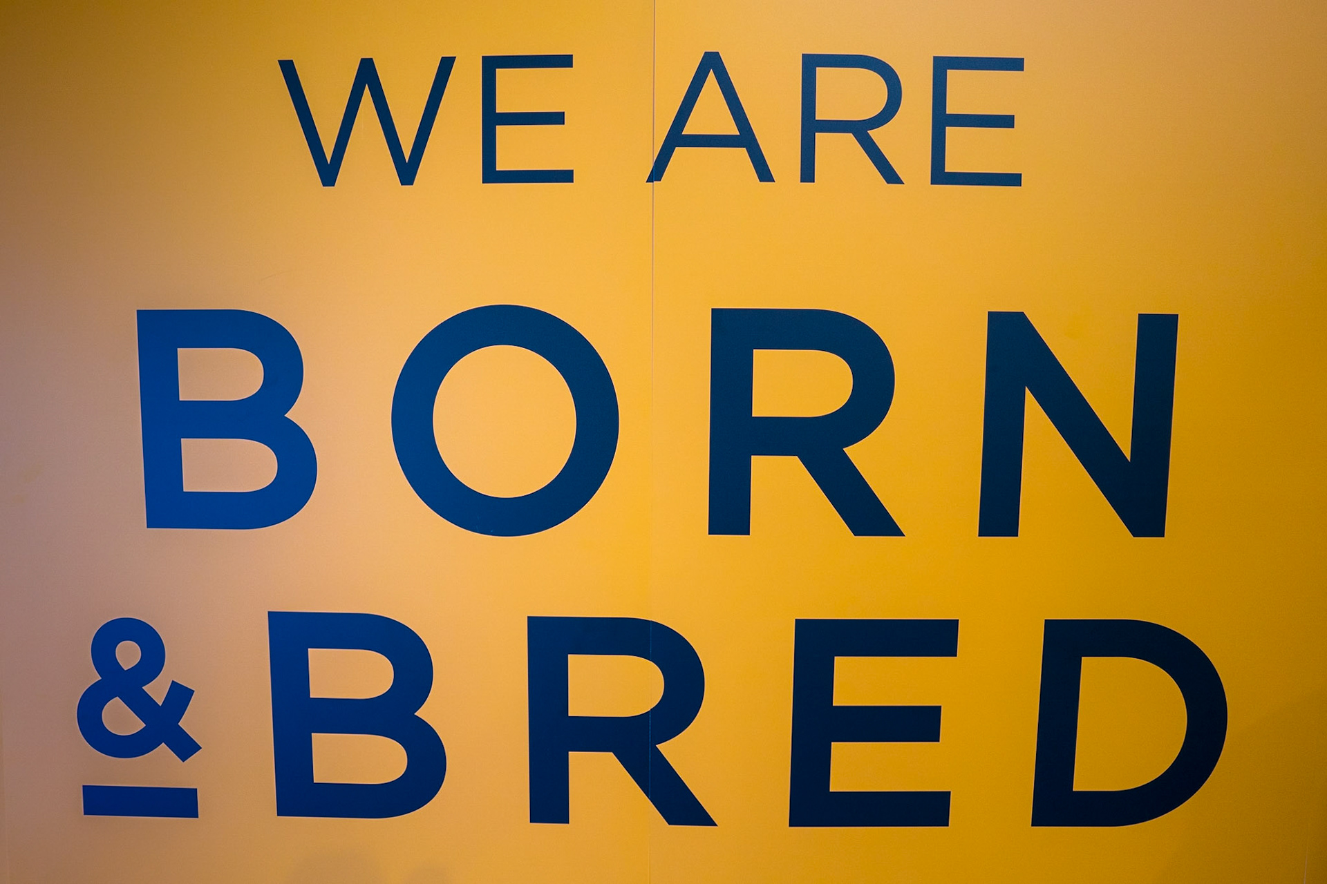 Down to the 'Love your home' exhibition