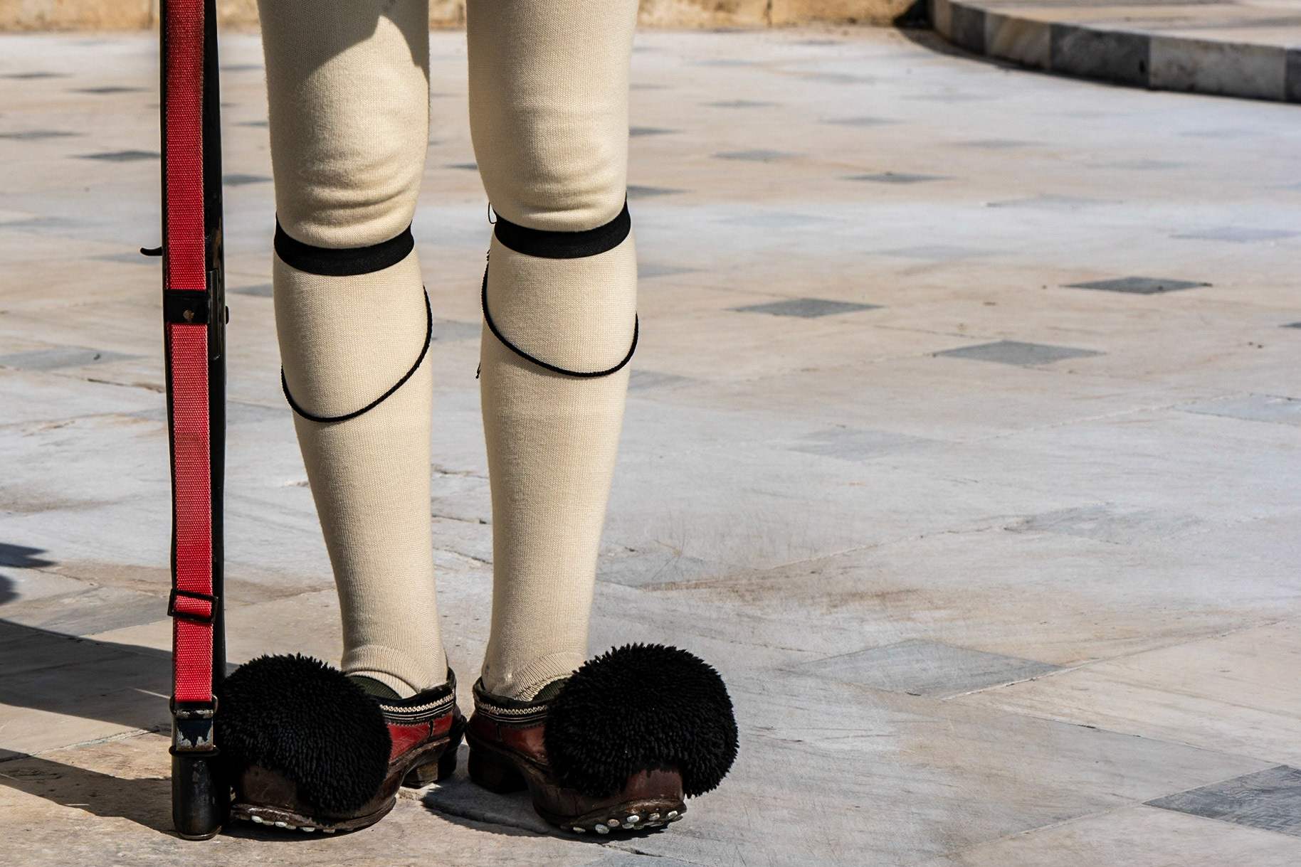 The Evzones at the Hellenic Parliament