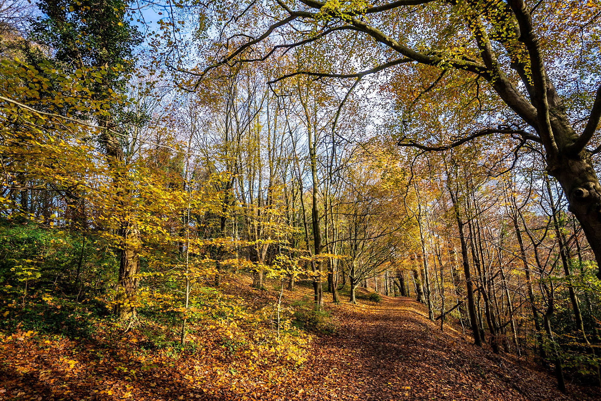 Now thats an Autumnal scene
