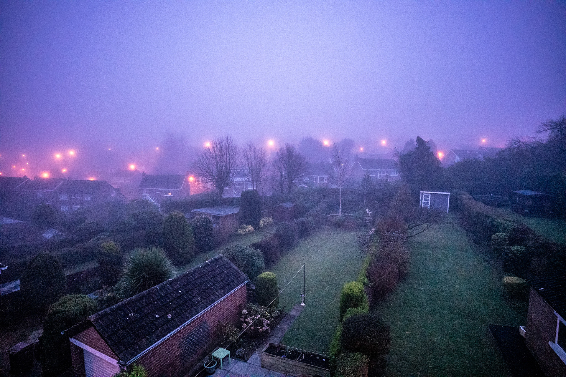 A foggy frosty morning in December