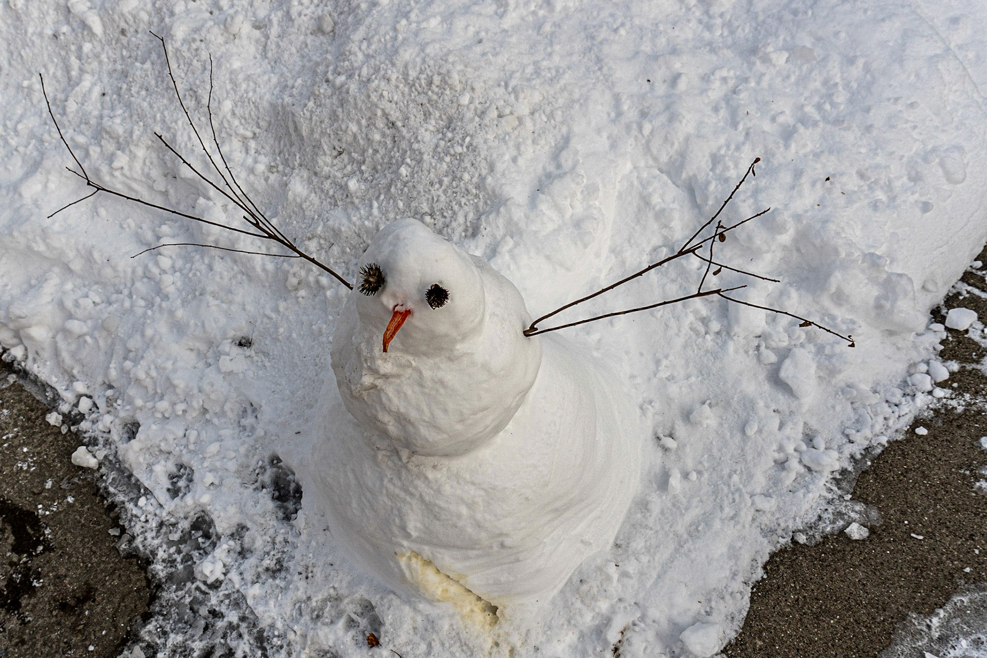  Wauwatosa WI - February 2020