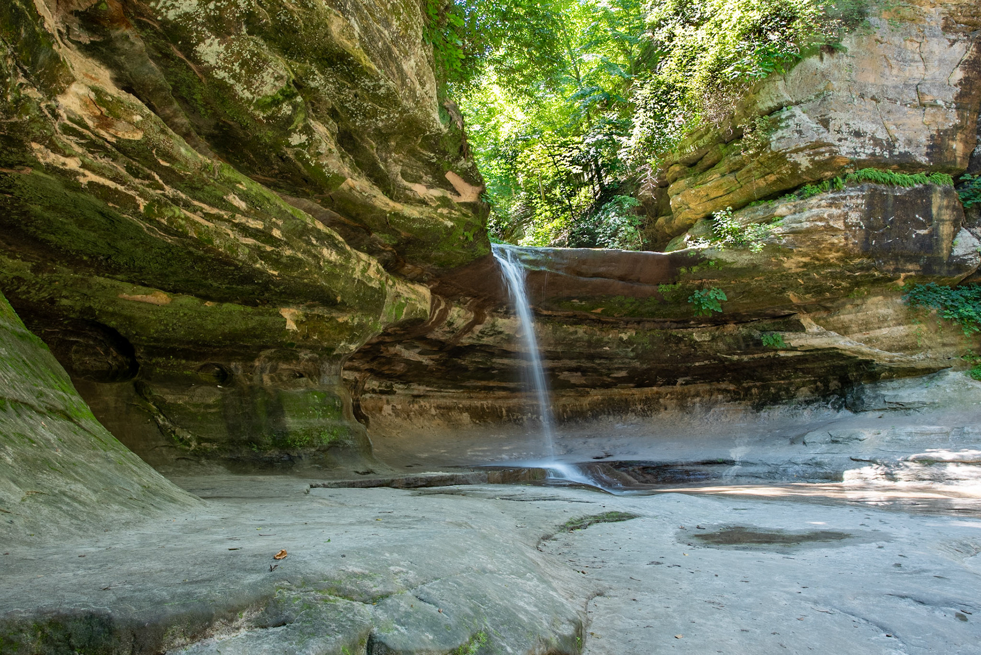 LaSalle Canyon, Starved Rock SP, Utica, IL, Aug 2019