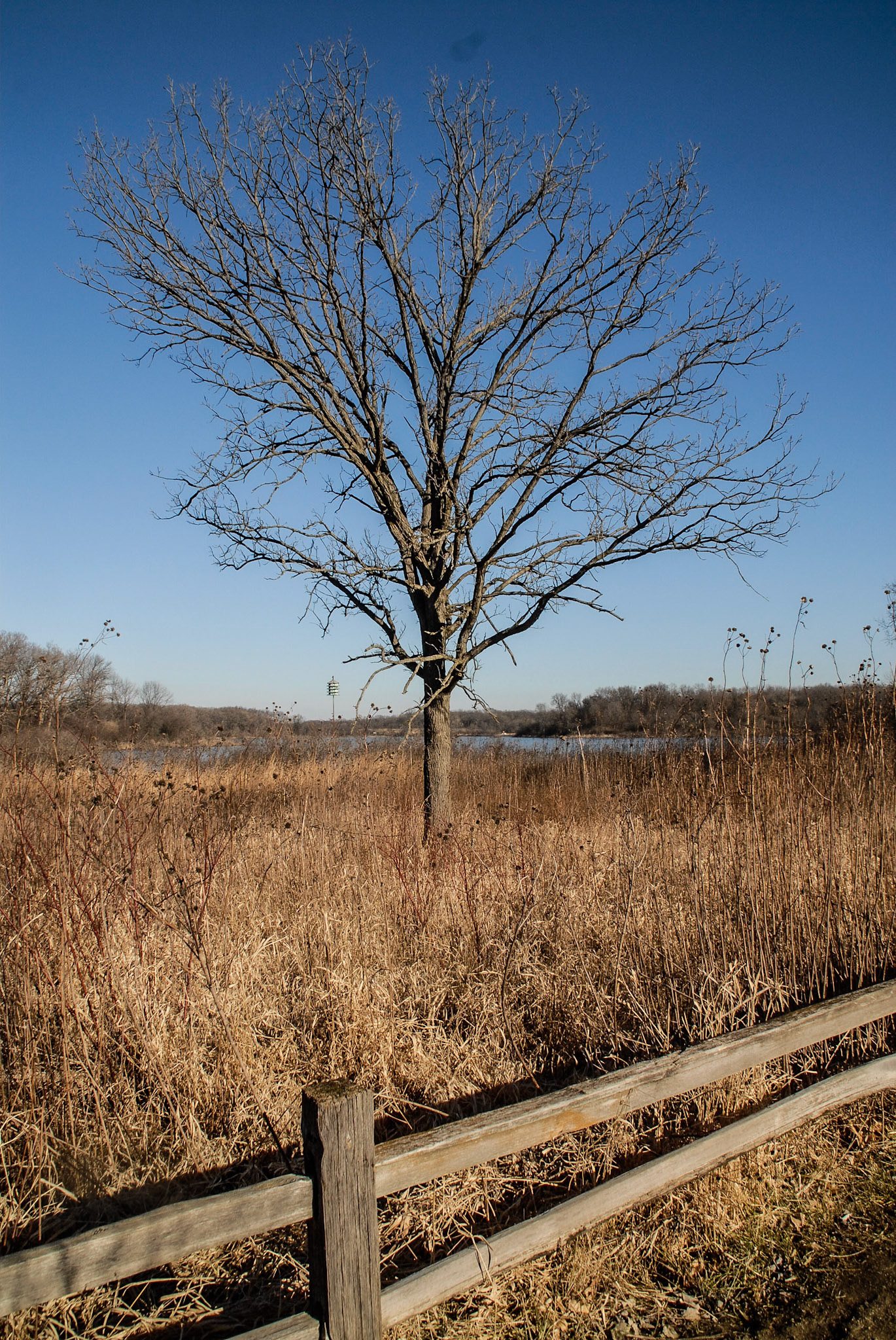 Trail at Little Red Schoolhouse - January 2012