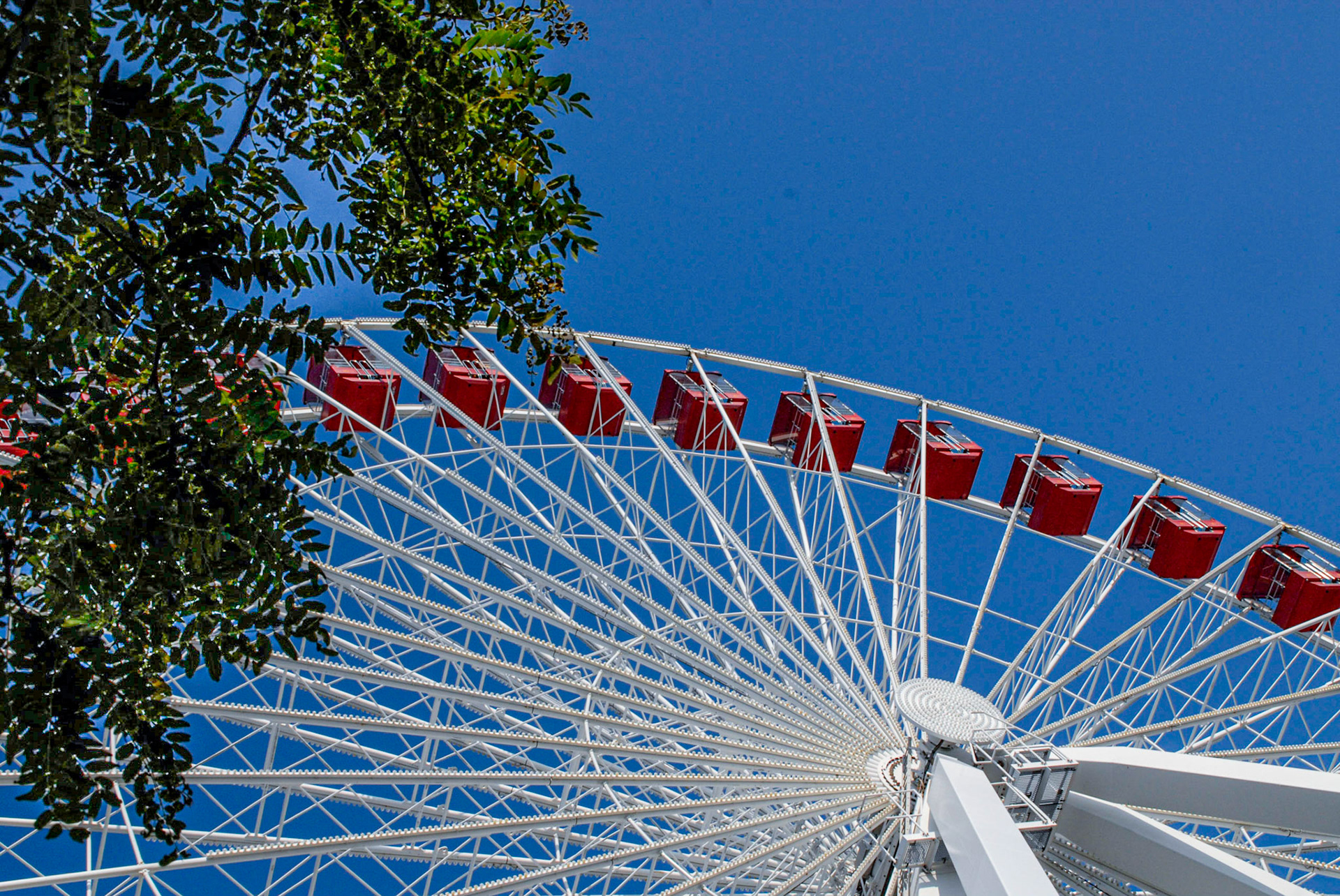 Navy Pier Chicago - July 2007