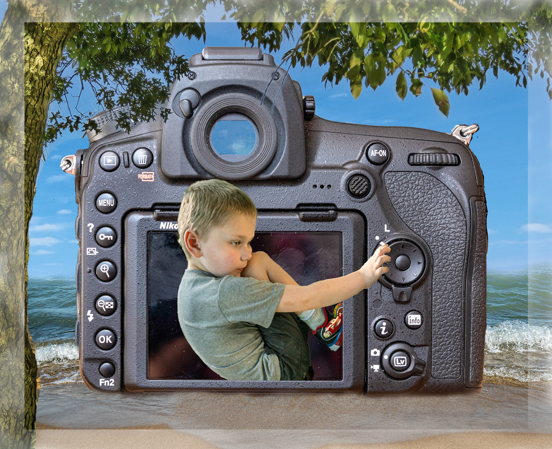 My good buddy dreaming about pushing buttons - March 2021