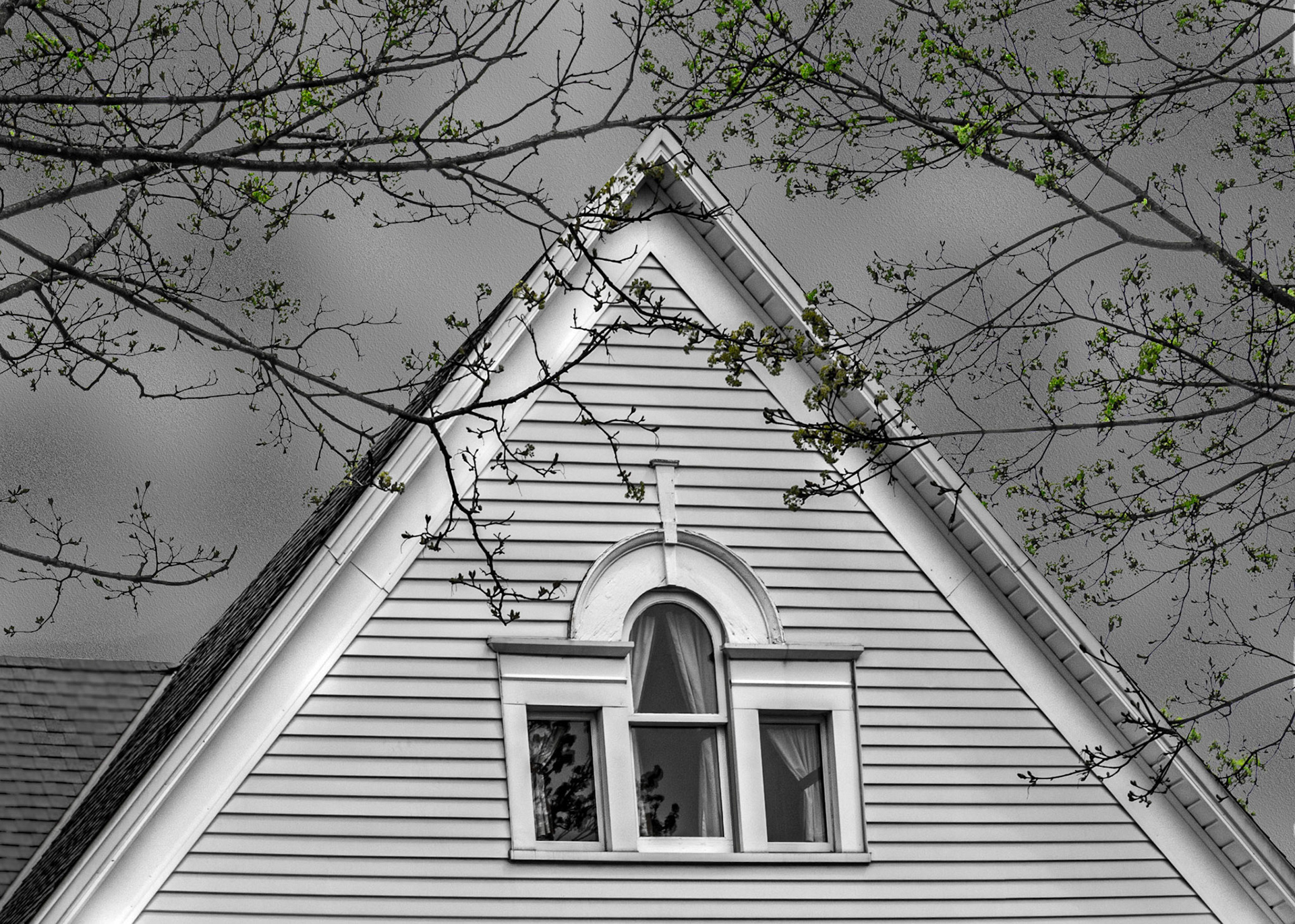 Windows - Wauwatosa WI - 2020