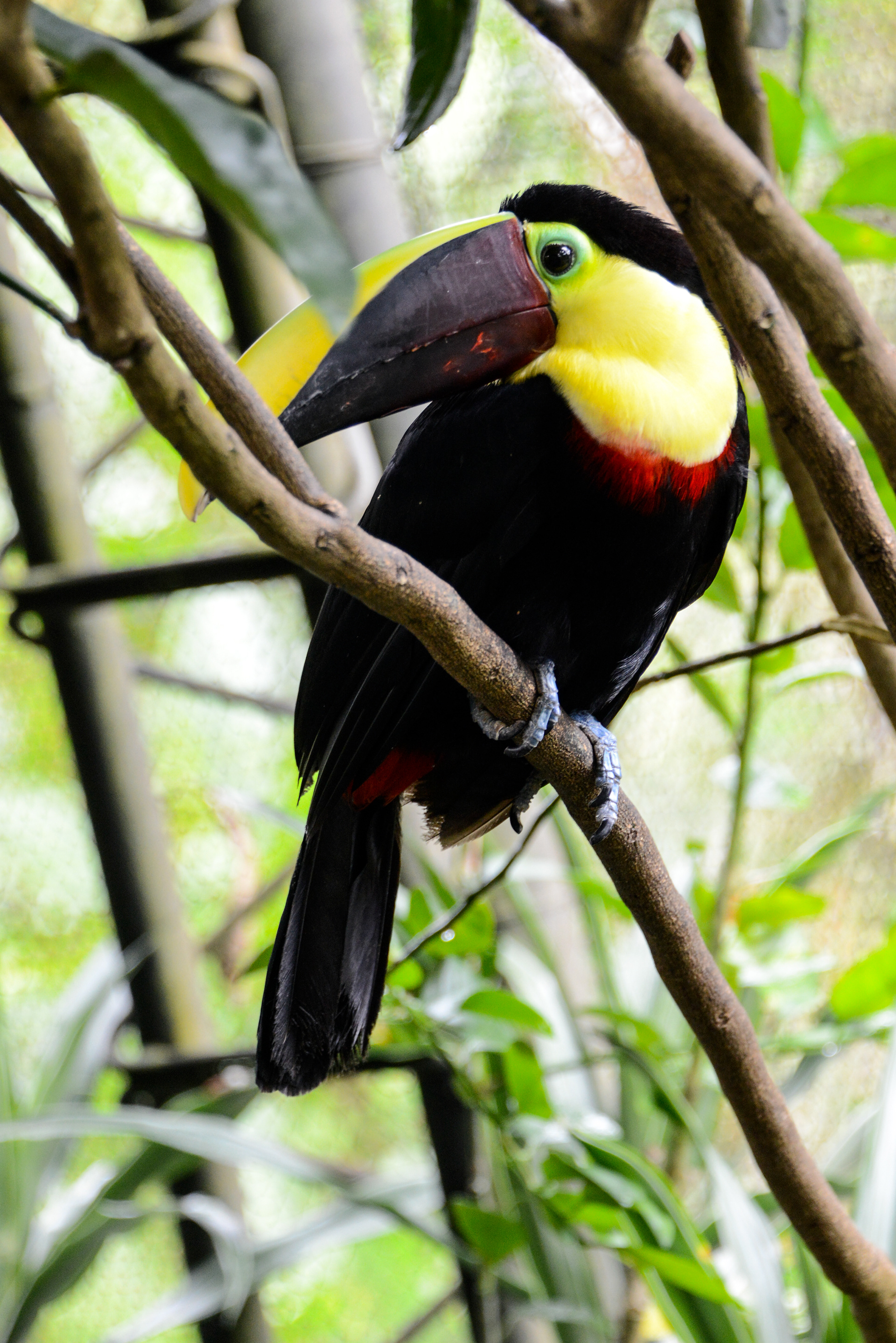 Costa Rica