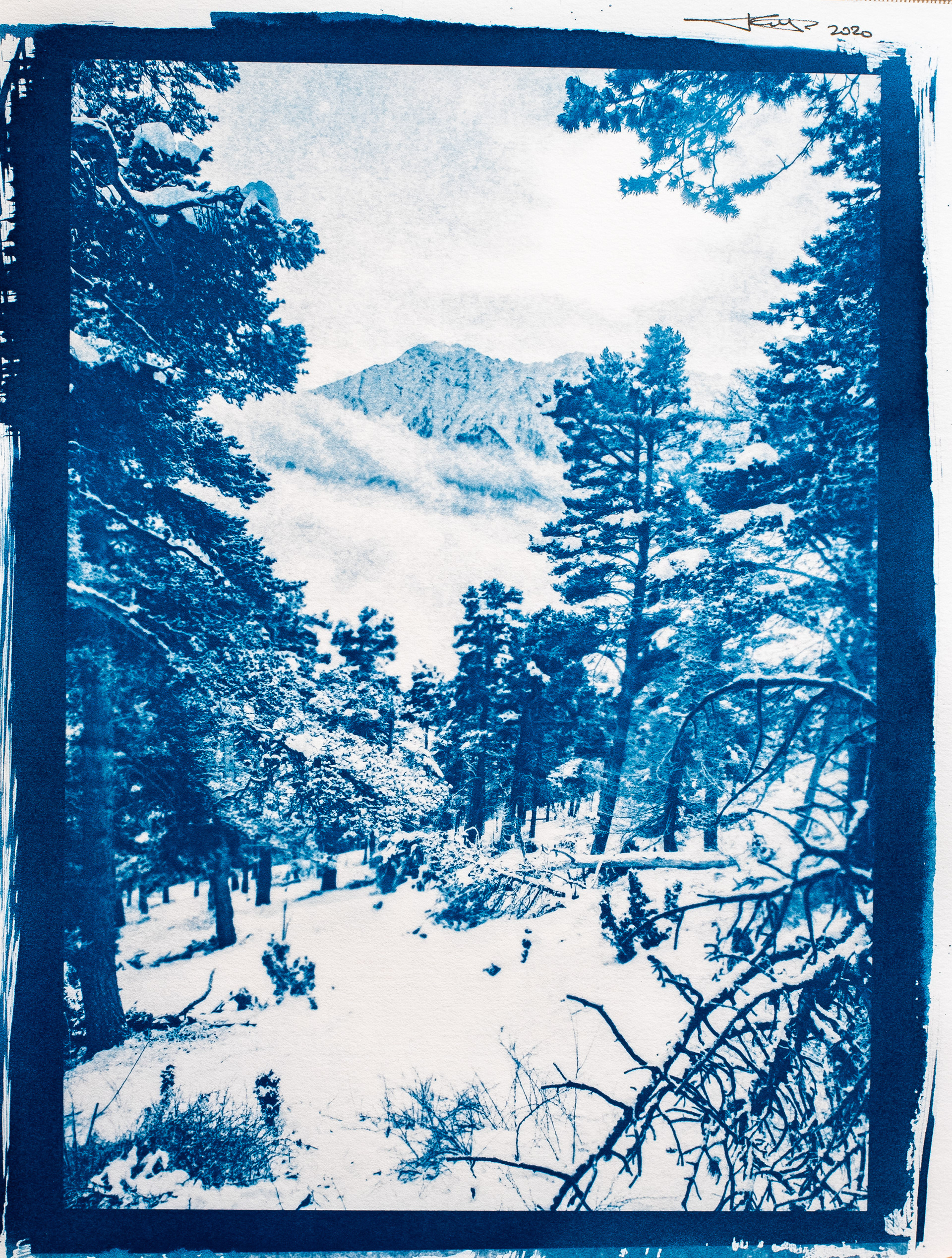 Albergian Innevato - Cyanotype