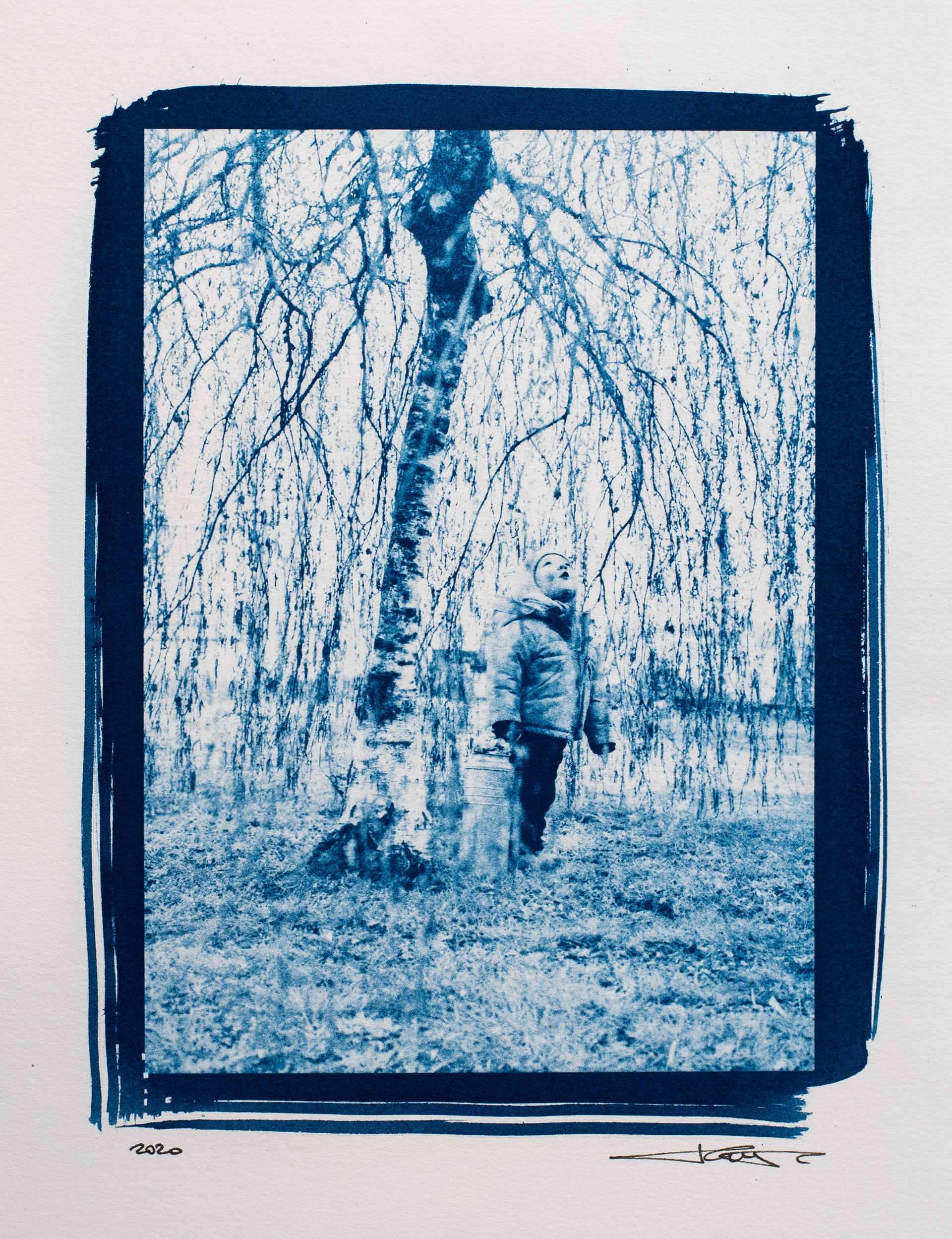F & the Tree - Cyanotype