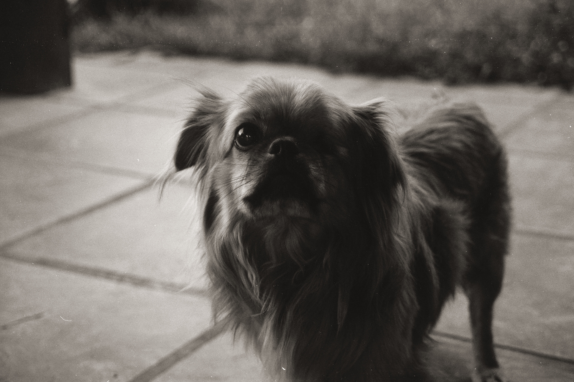 Ilford FP4 Plus - Buenos Aires, Argentina