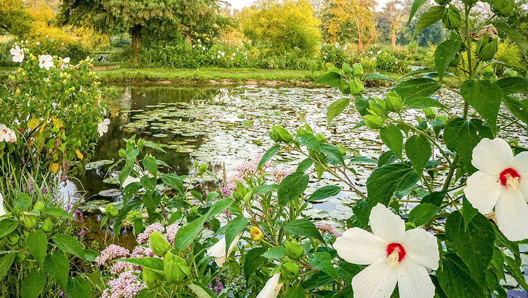 Even Atienza Kenilworth Park Aquatic Gardens