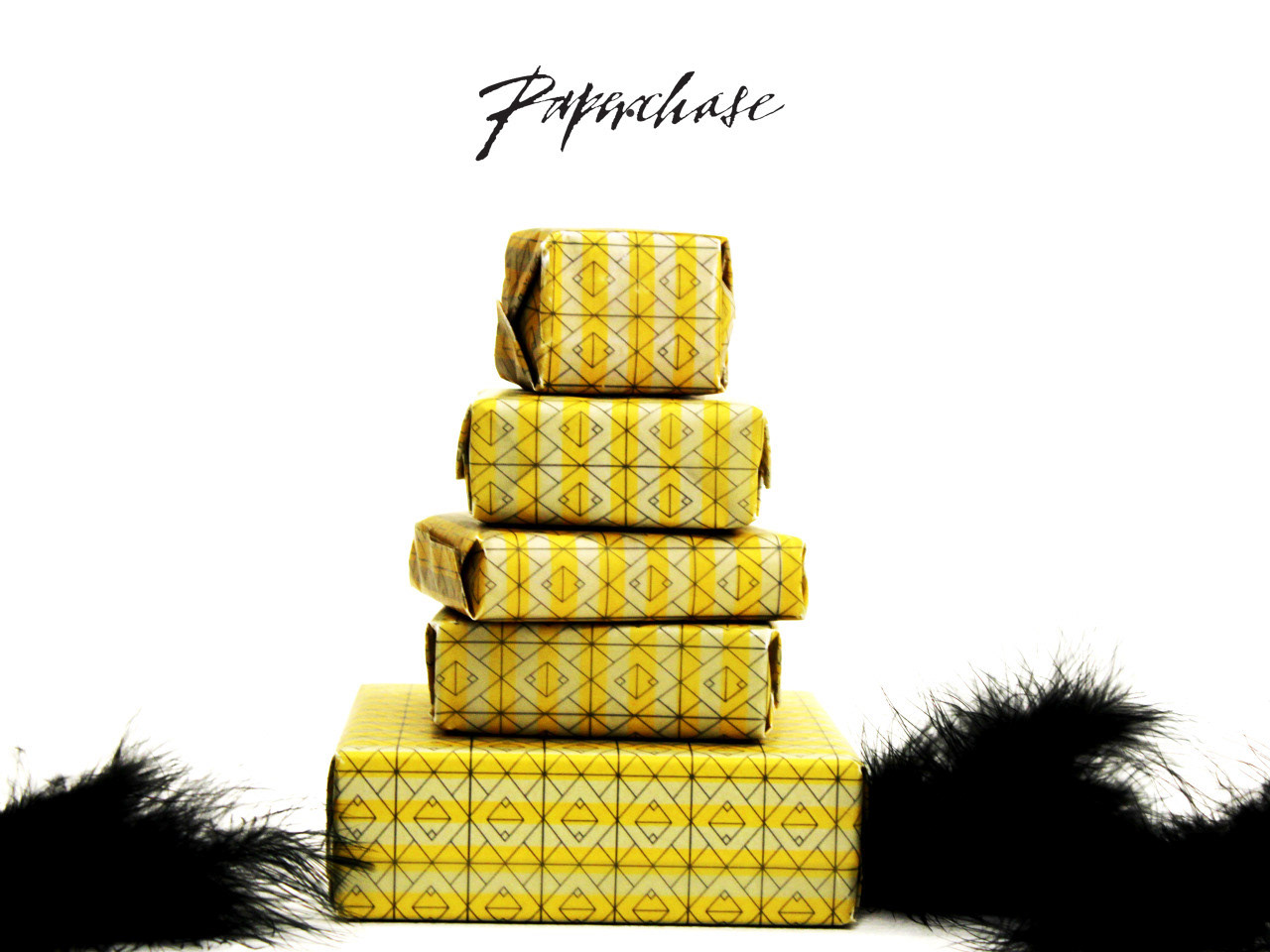 Creative Nerd Co. PAPERCHASE WRAPPING PAPER