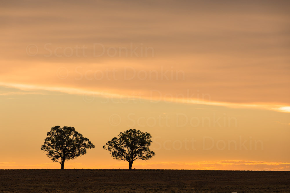 License this photo by Scott Donkin on Adobe Stock.