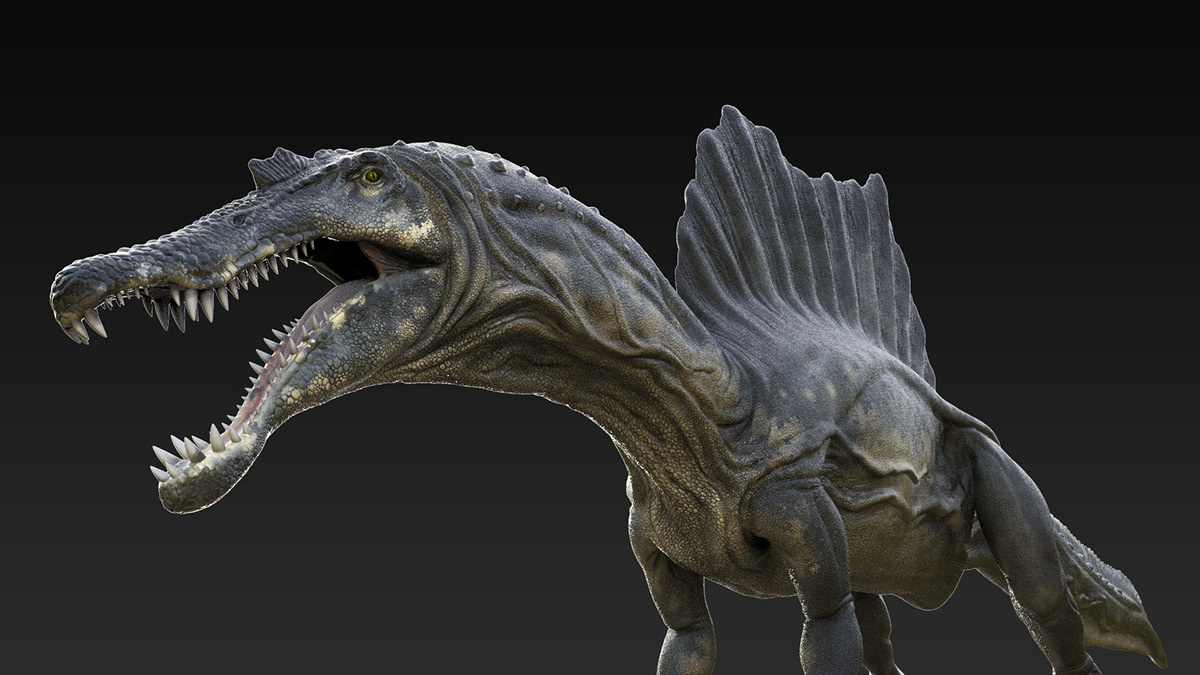 spinosaurus 2020 model