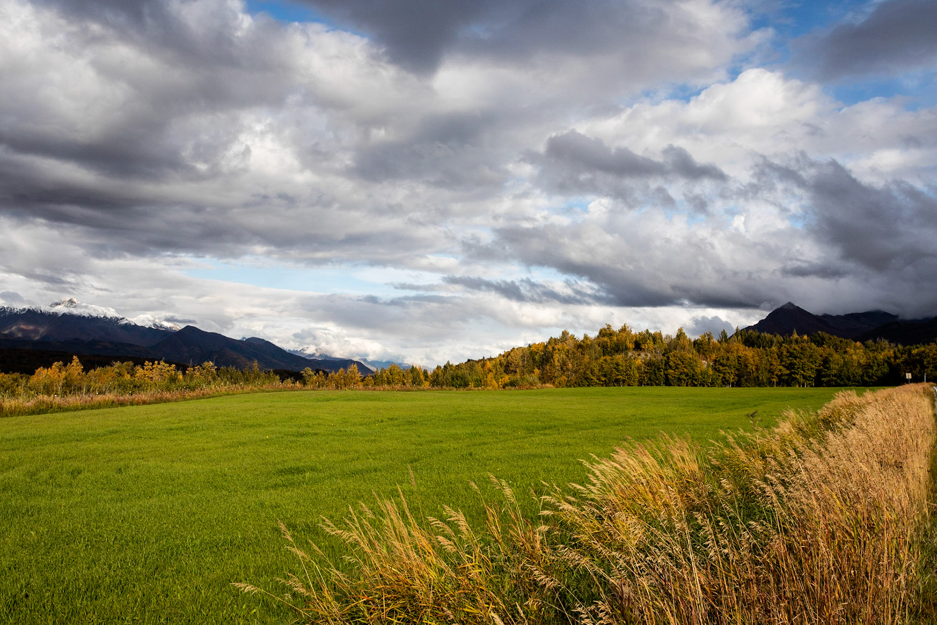 Alaskan Hilltop