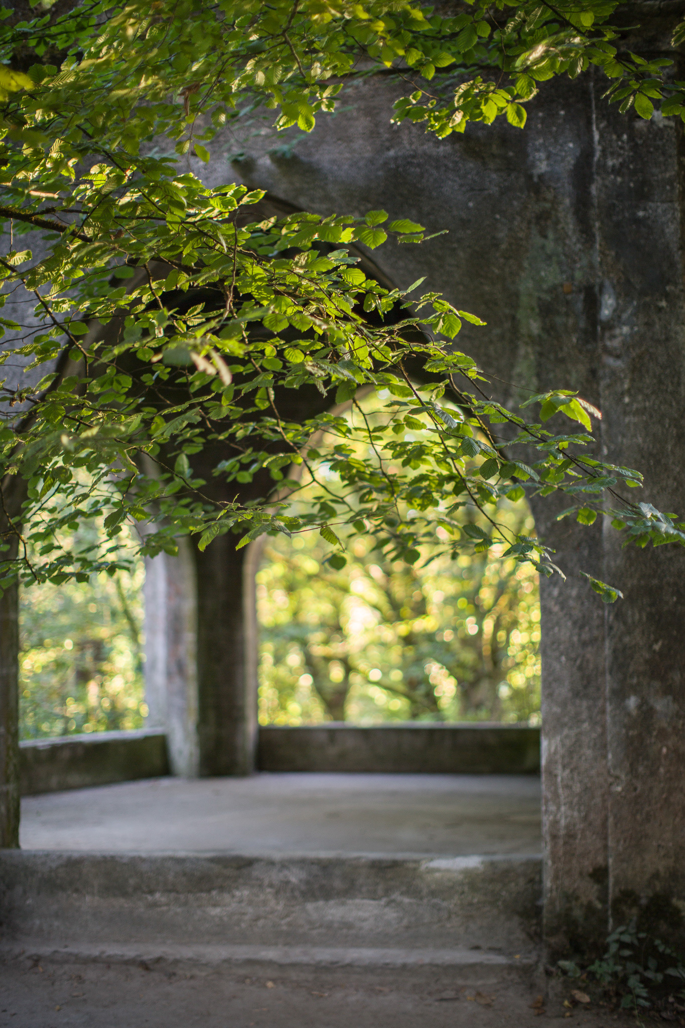 Parque da Pena