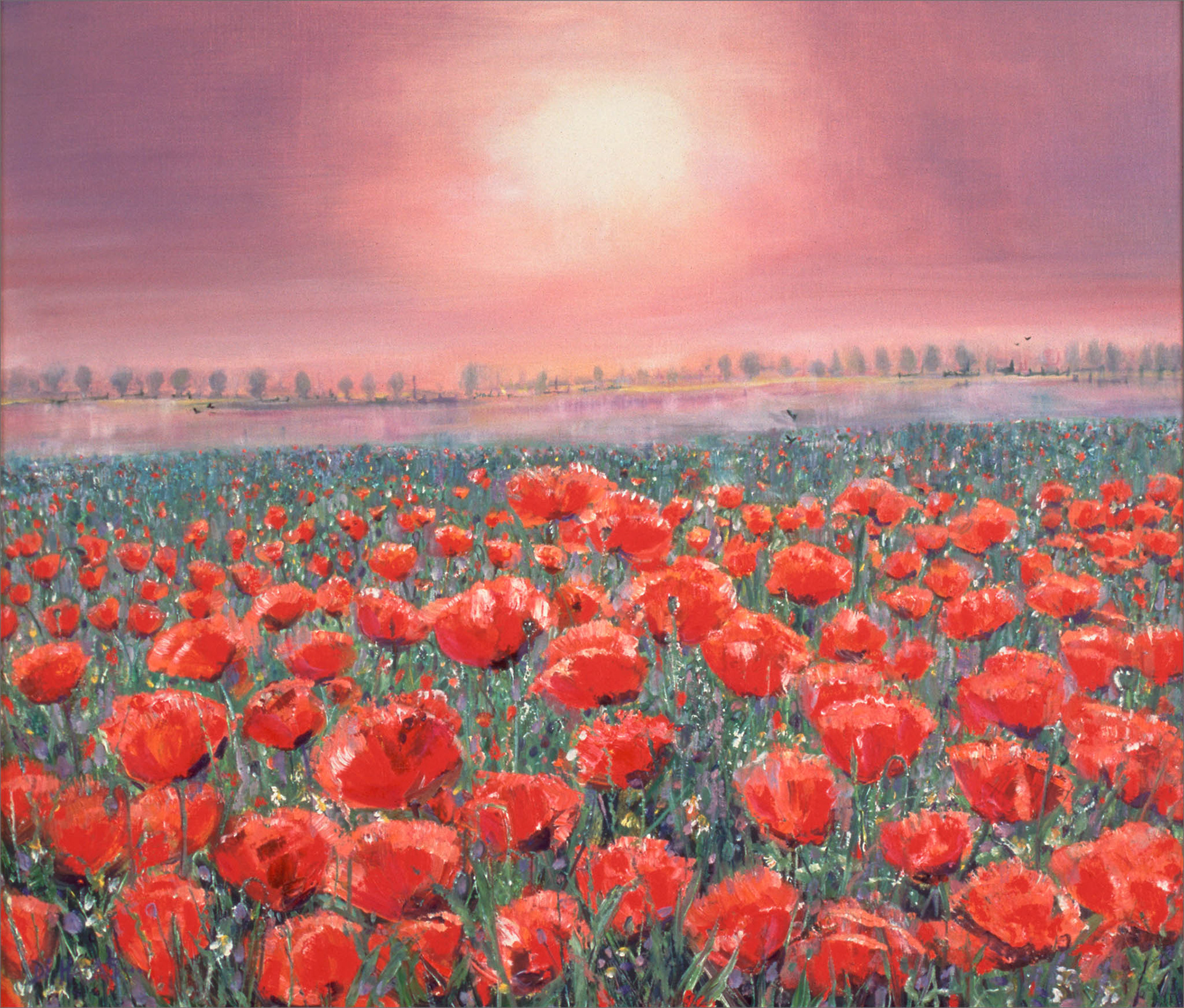 MISTY POPPIES. From an original painting by Diana Aungier-Rose. Print size: 30cm x 35cm. For Sale: £18
