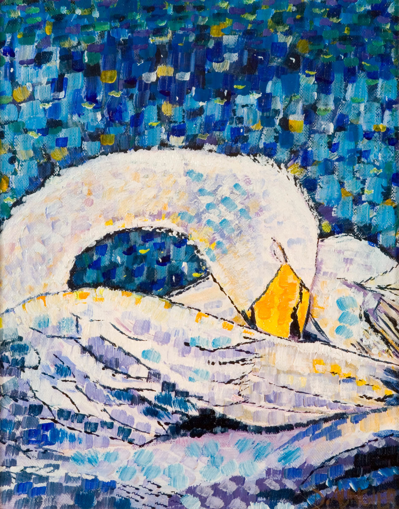 SLUMBERING SWAN. From an original painting by Diana Aungier-Rose. Picture size: 29cm x 20cm. Mount size: 40cm x 30cm. FOR SALE: £19.