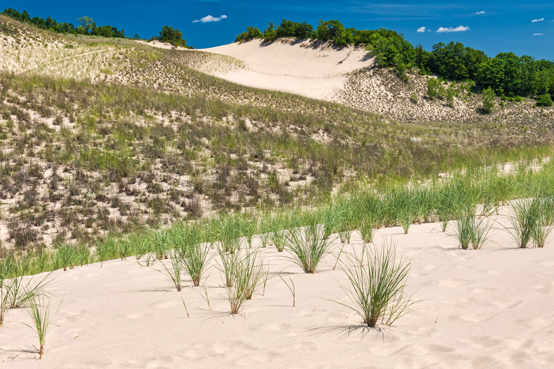 MI Dunes 00043