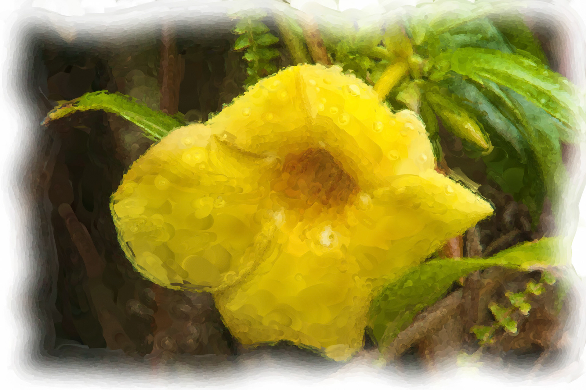 Paintings 00168