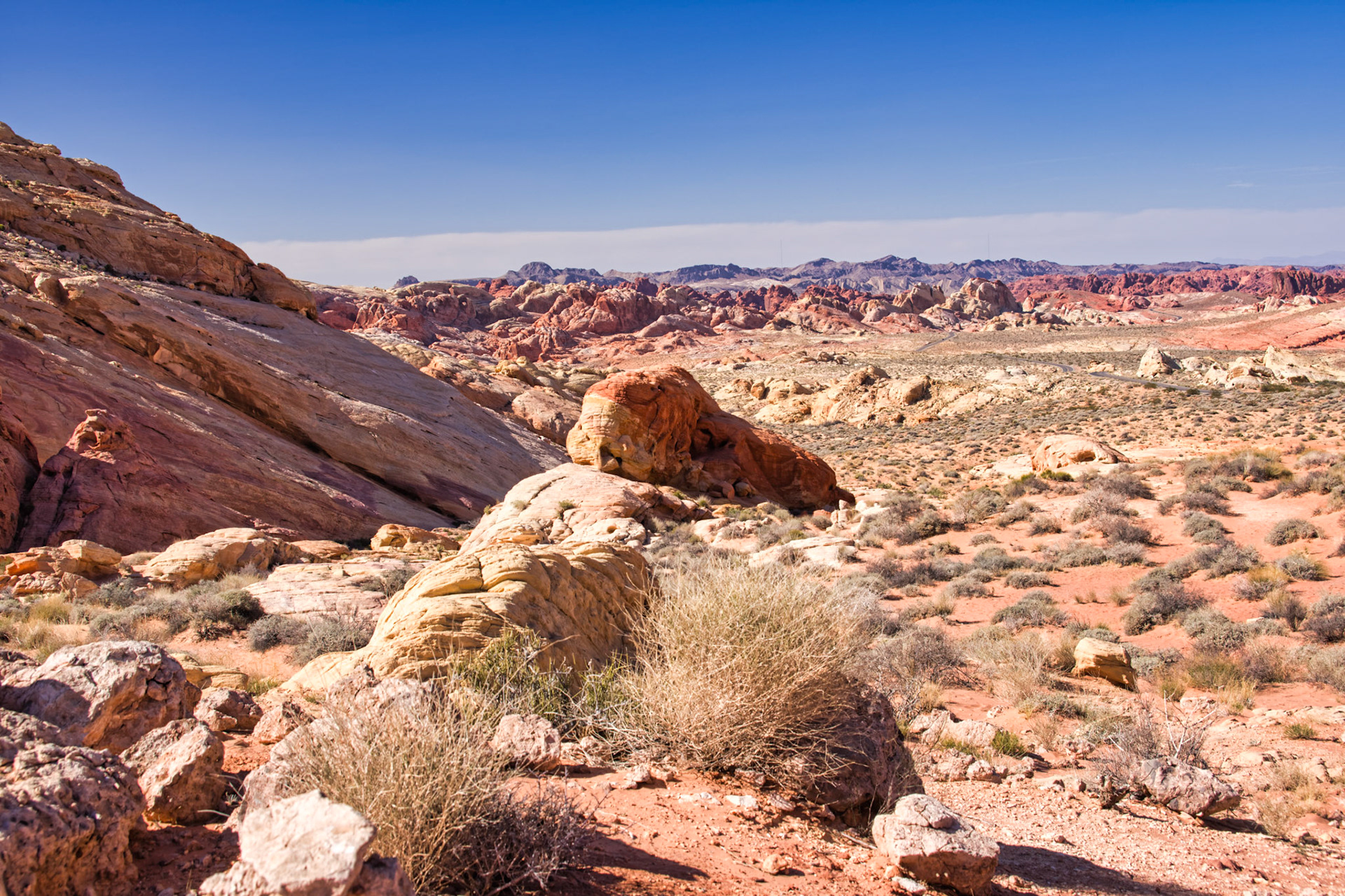 NV Desert 00124