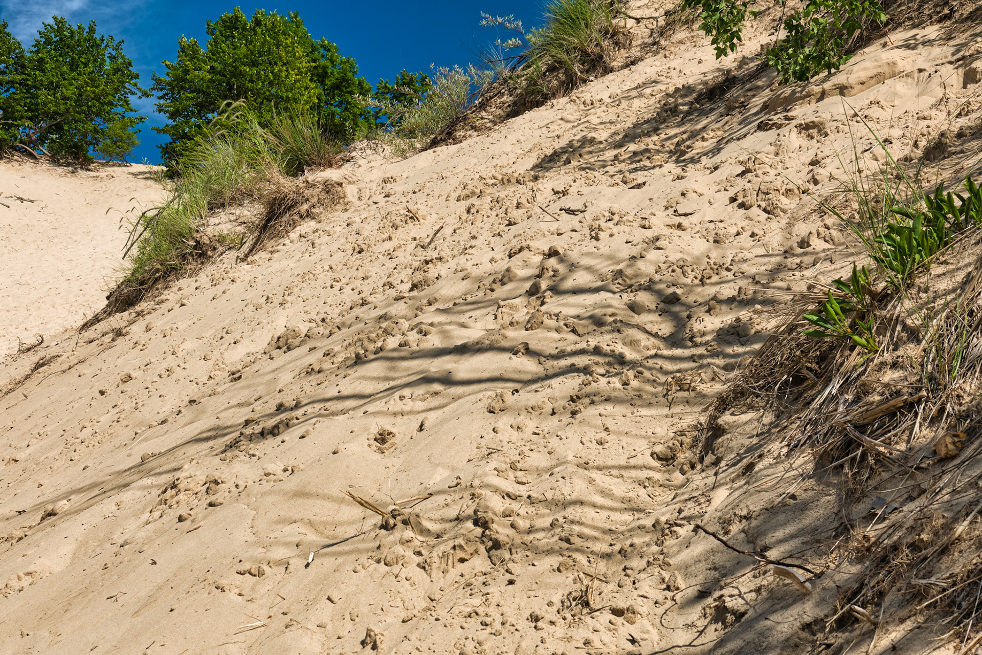 MI Dunes 00085