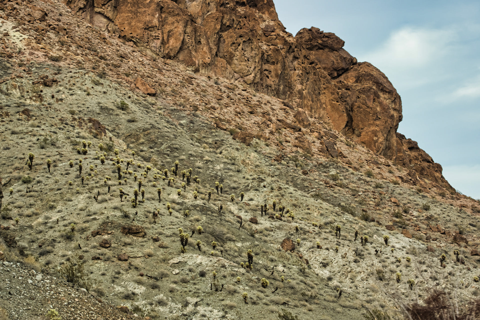 NV Desert 00035
