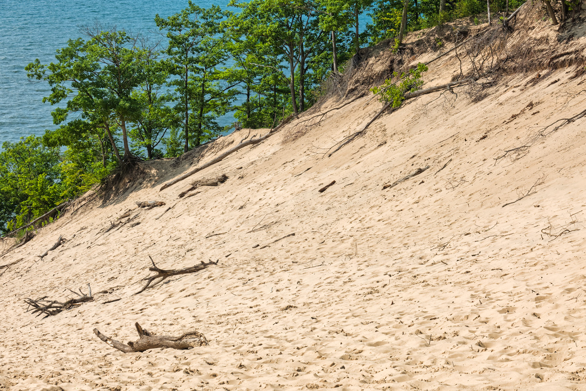 MI Dunes 00104